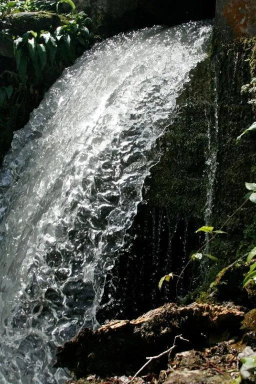 Natural landscape in Château De Siran - Hôtel & Spa
