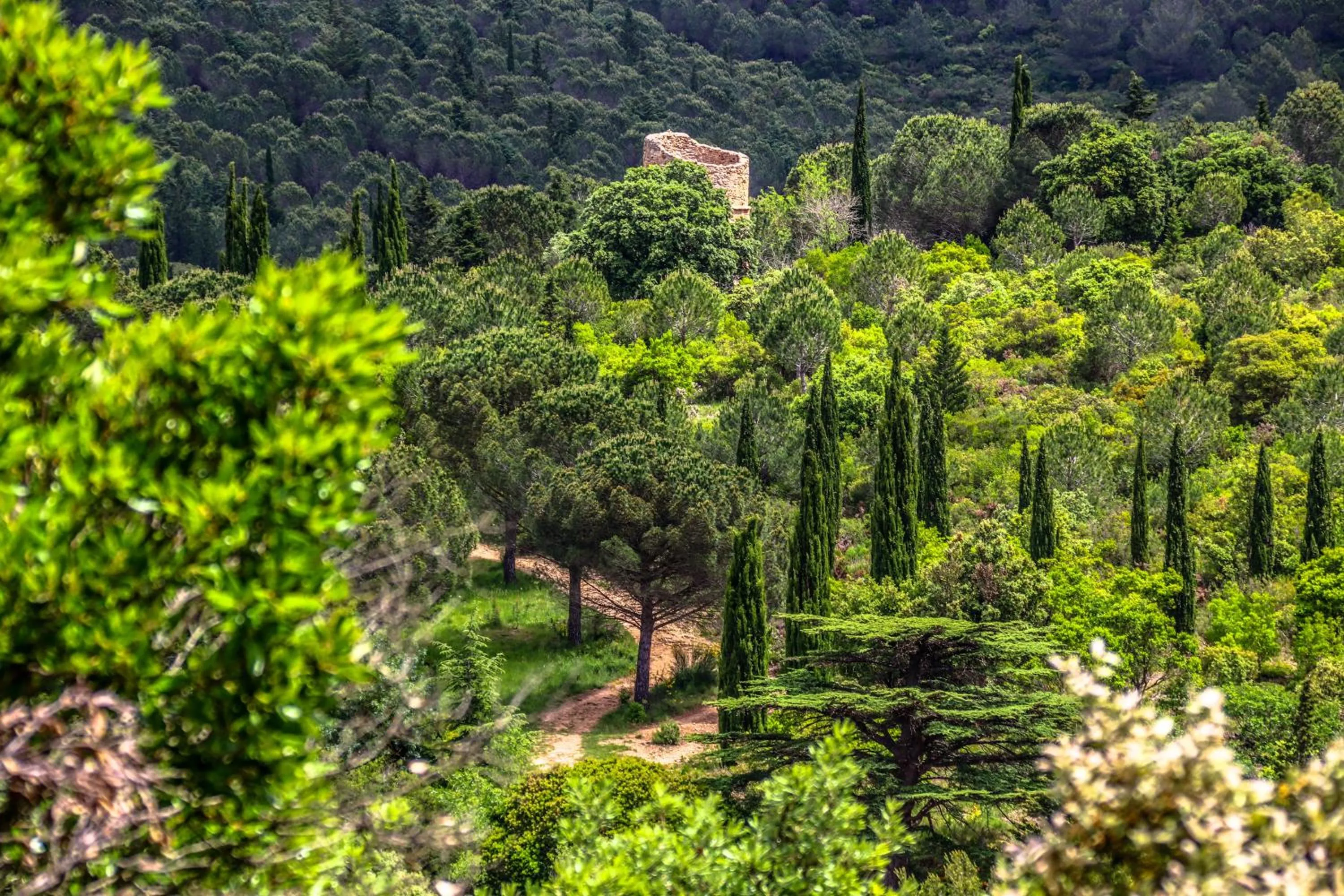 Natural landscape in Château De Siran - Hôtel & Spa