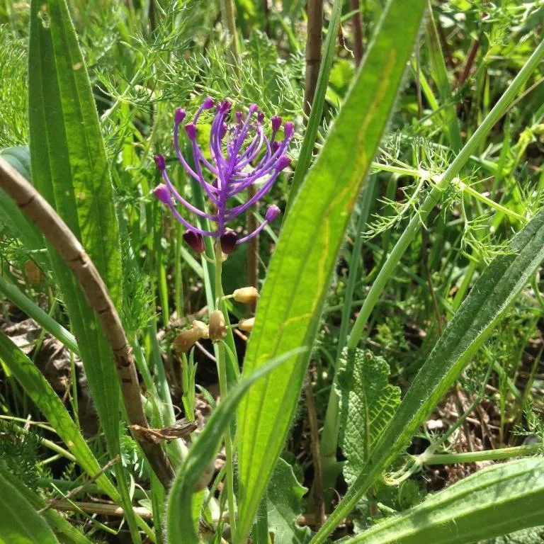Natural landscape in Château De Siran - Hôtel & Spa