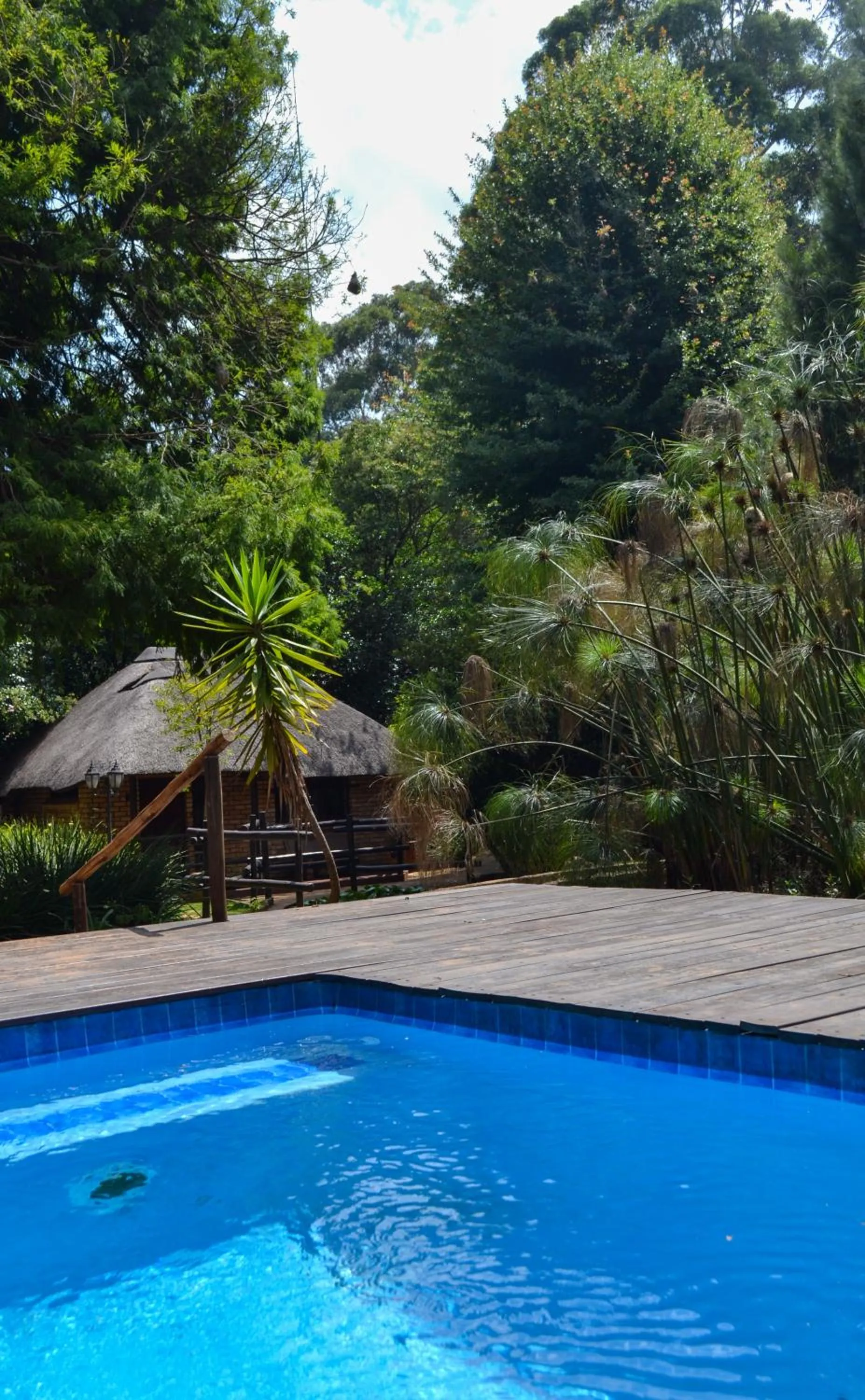 Swimming pool in Goodnight Guest Lodge