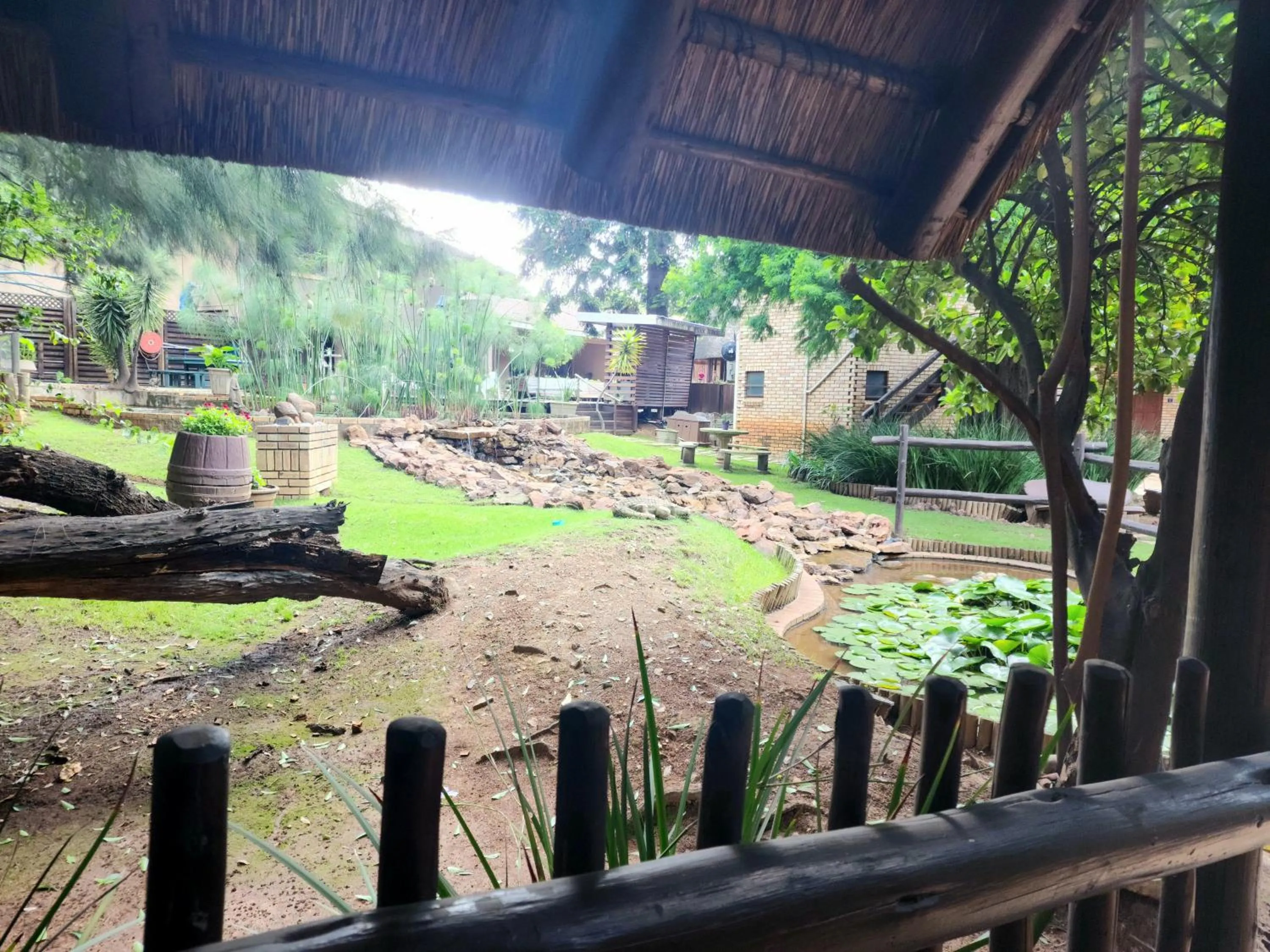 Garden in Goodnight Guest Lodge