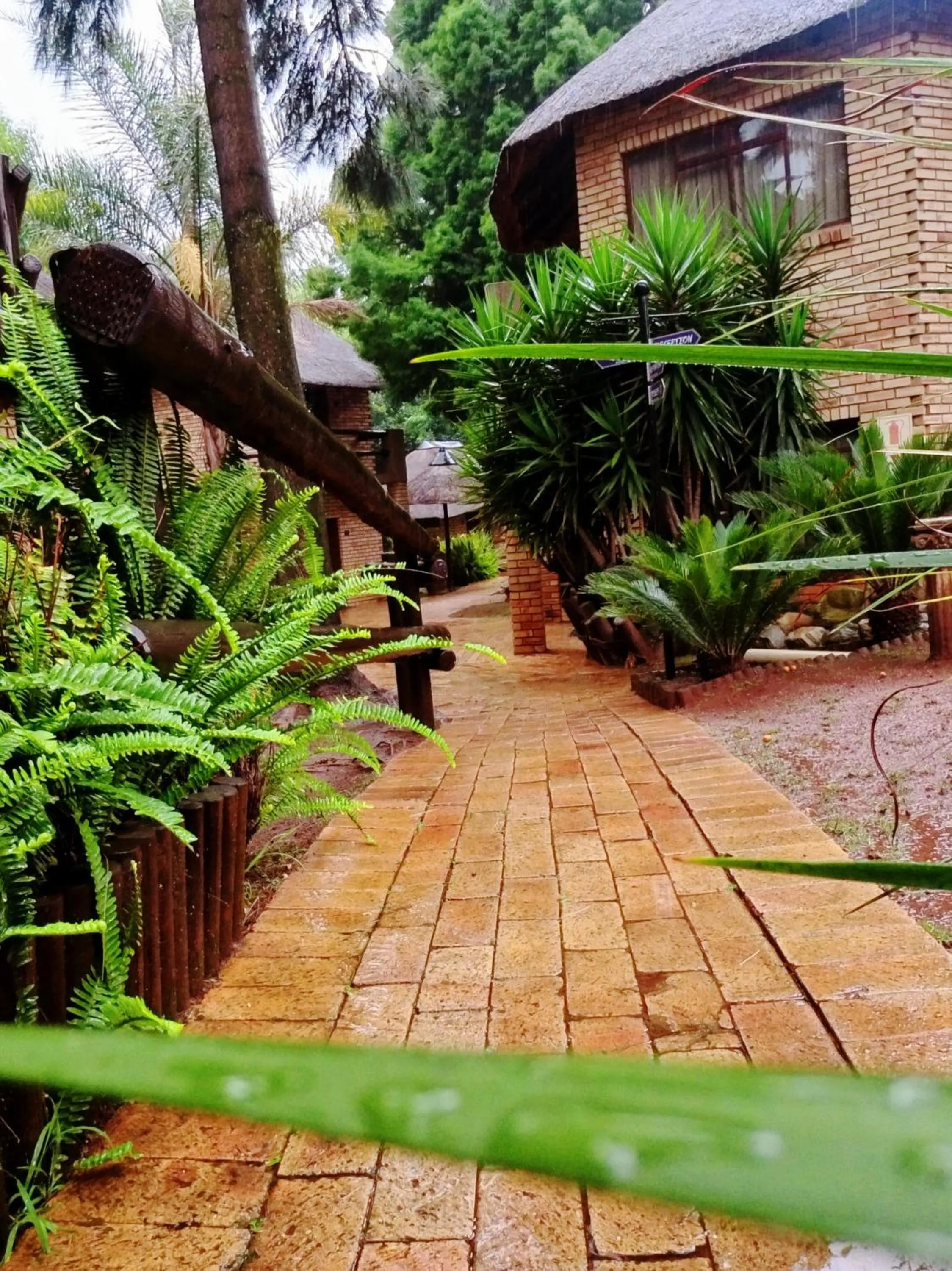 Garden in Goodnight Guest Lodge