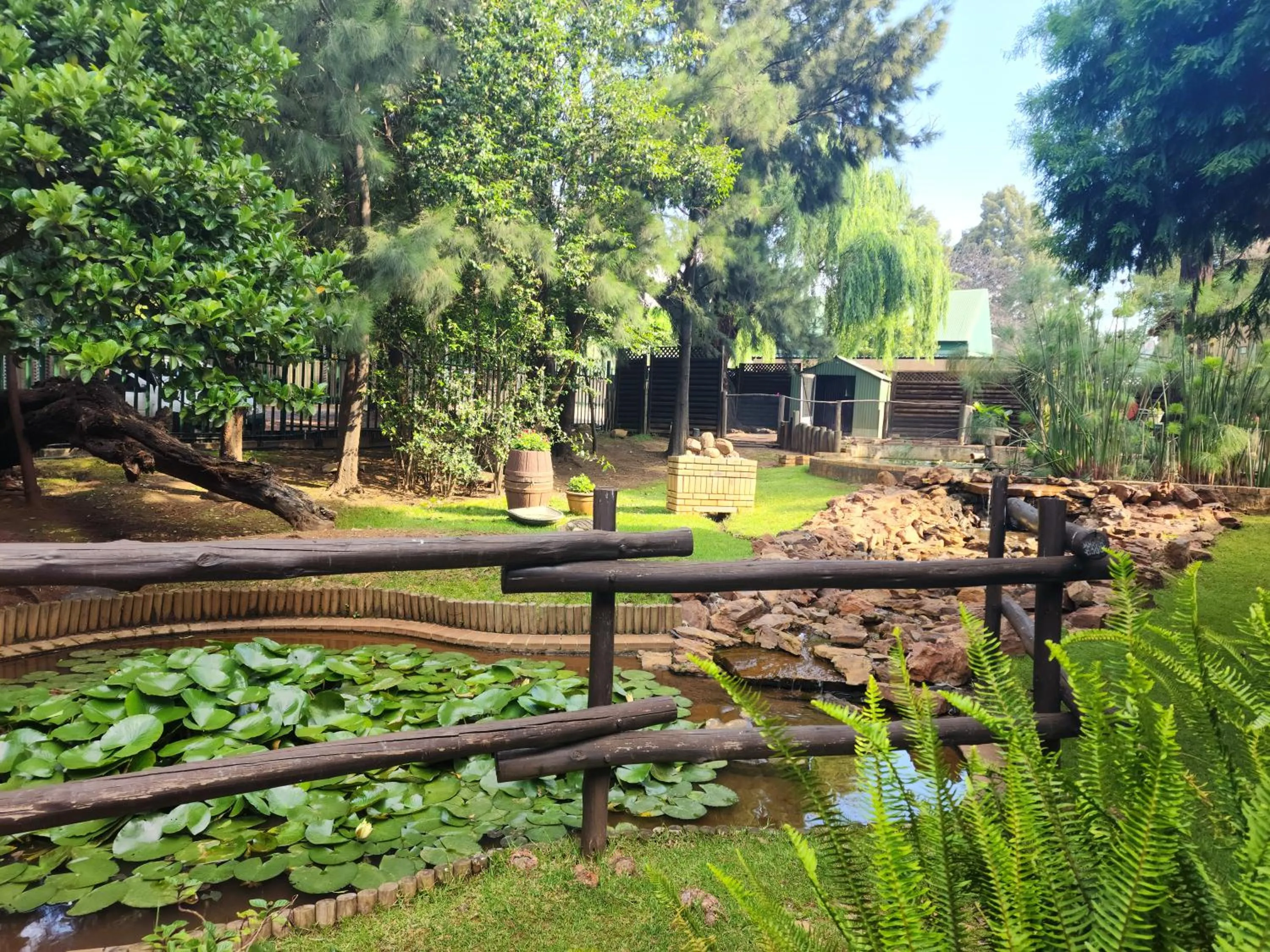 Garden in Goodnight Guest Lodge