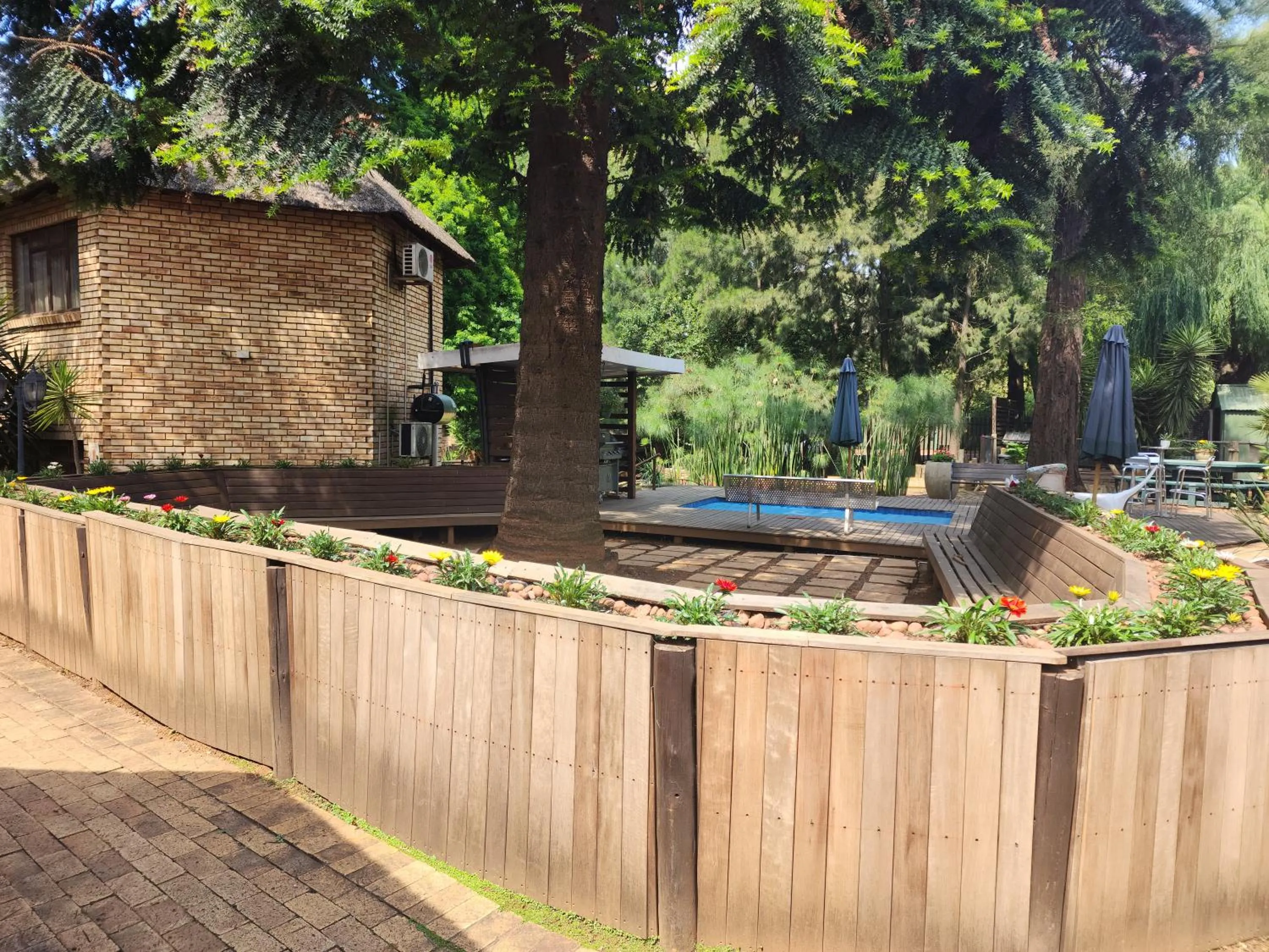 Garden in Goodnight Guest Lodge