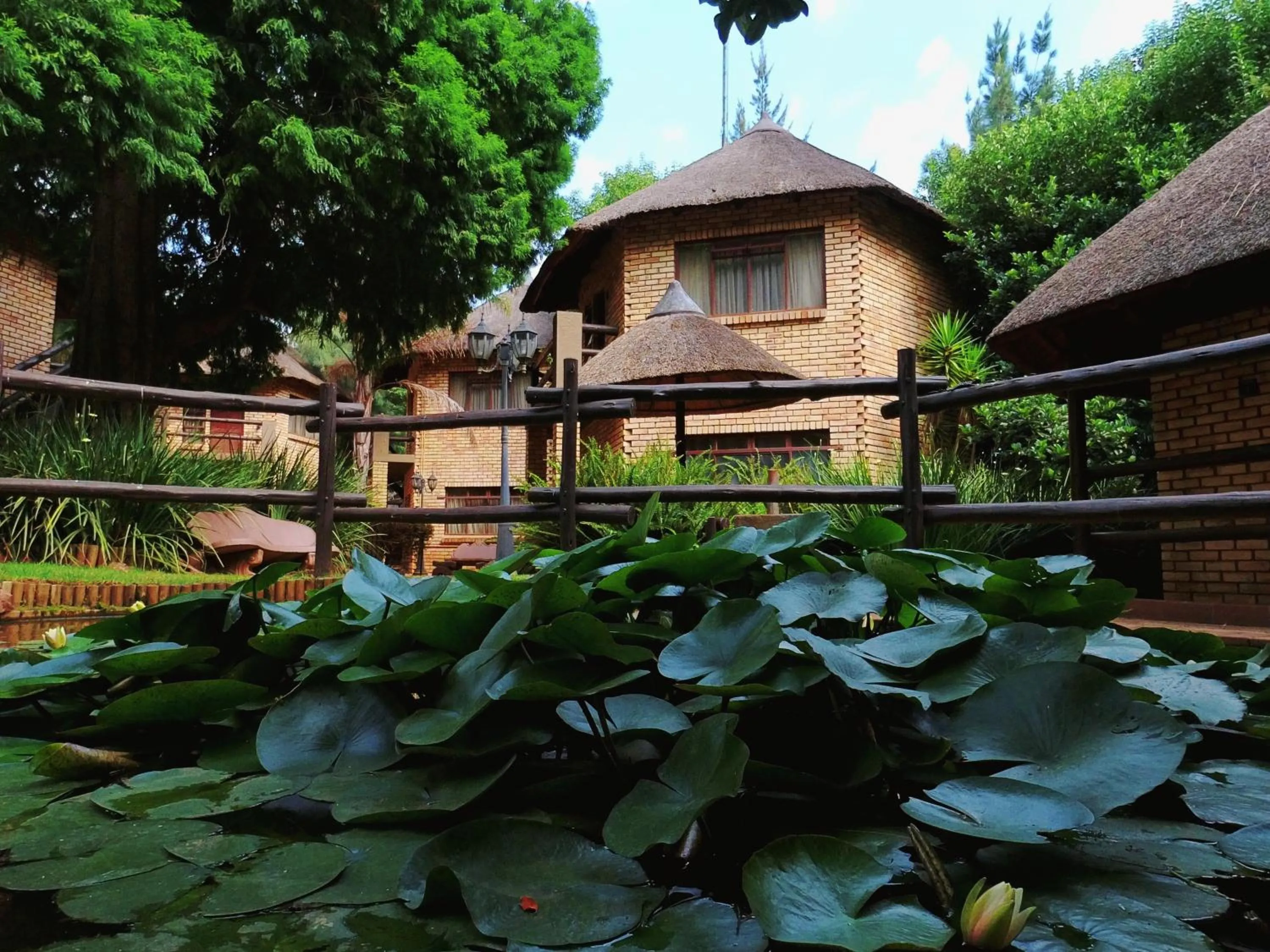 Garden in Goodnight Guest Lodge