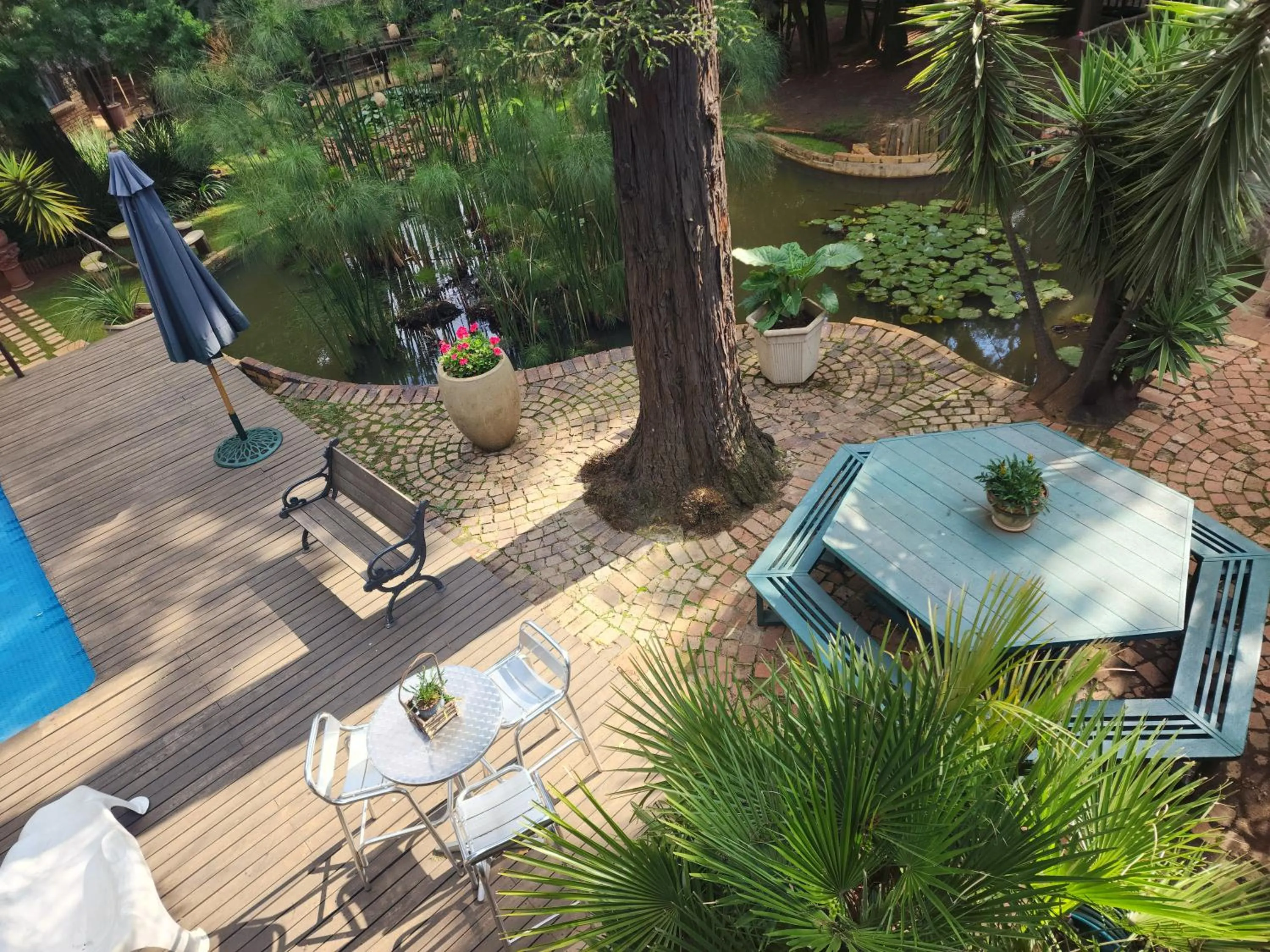 Garden in Goodnight Guest Lodge