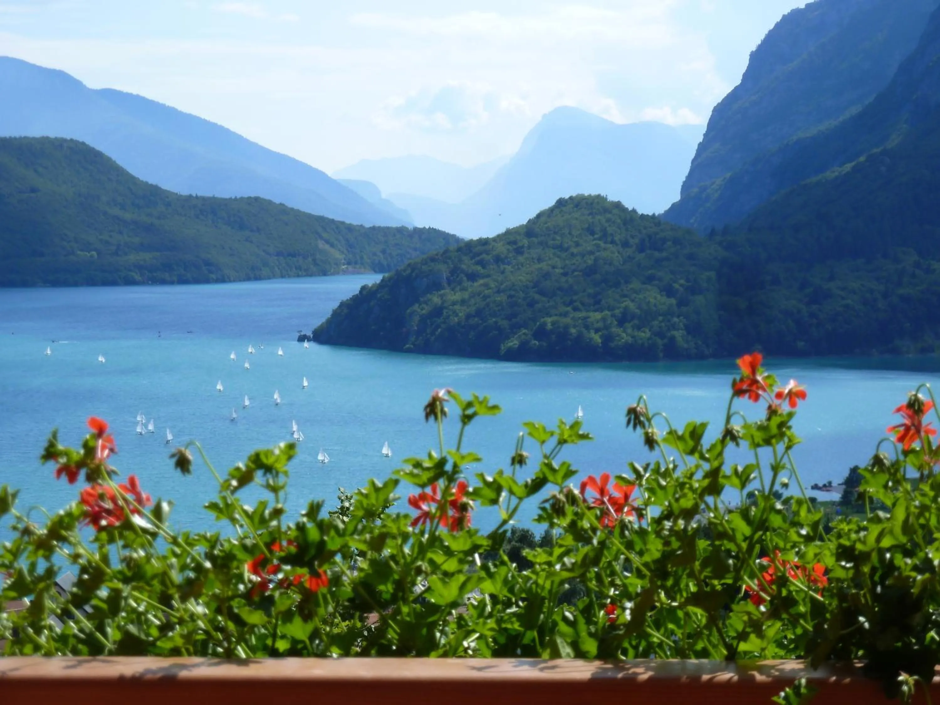 View (from property/room) in Hotel Florida