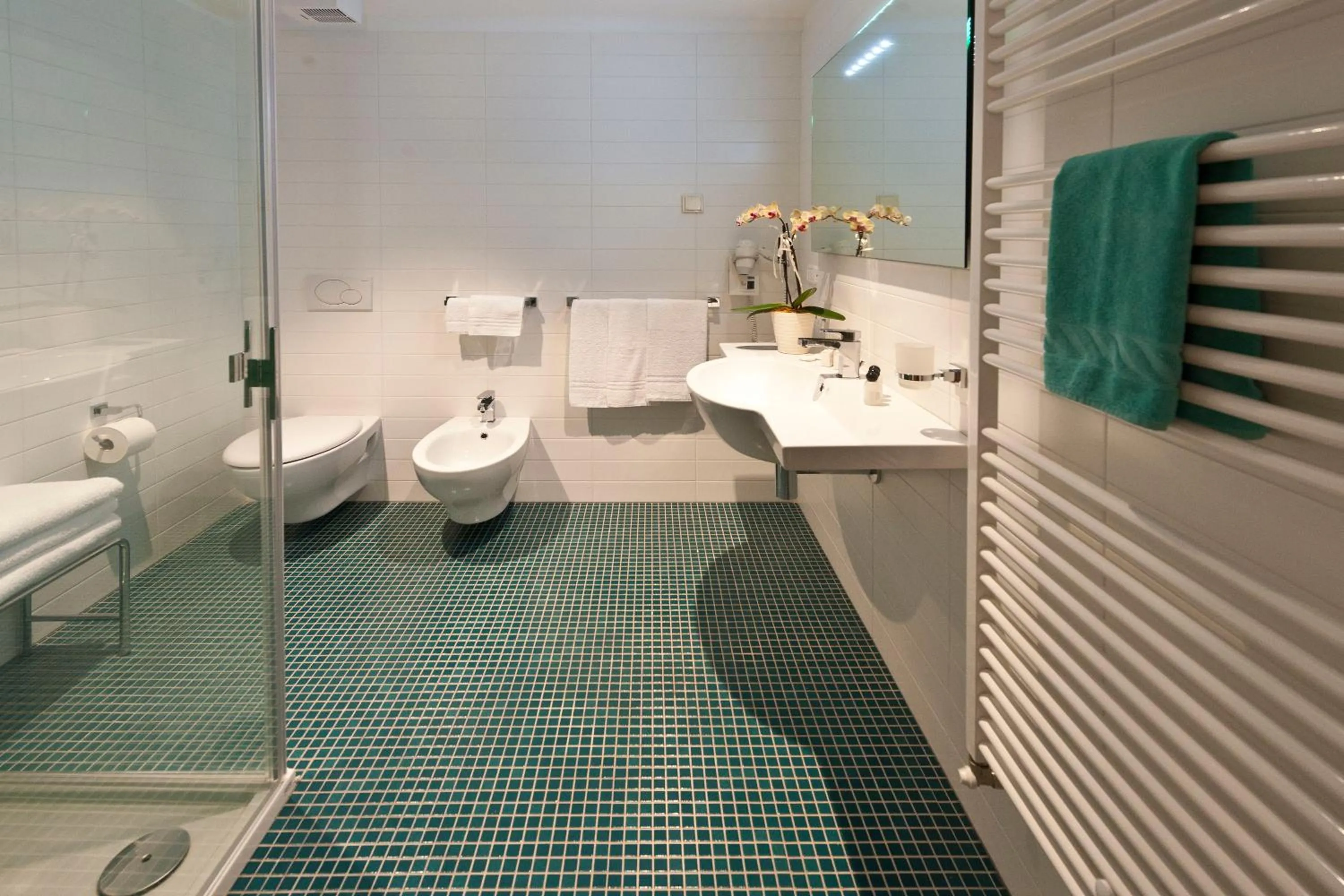 Toilet in Hotel Romanda