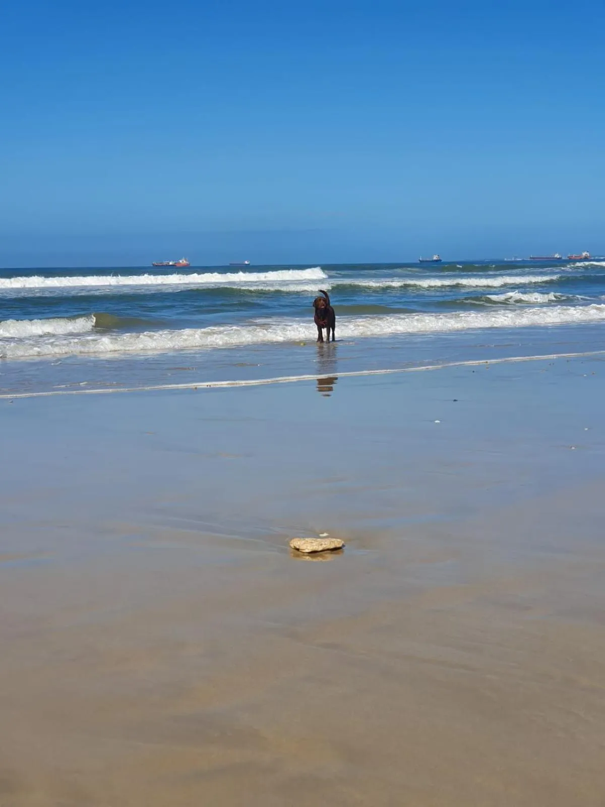Beach in House Haven Guesthouse