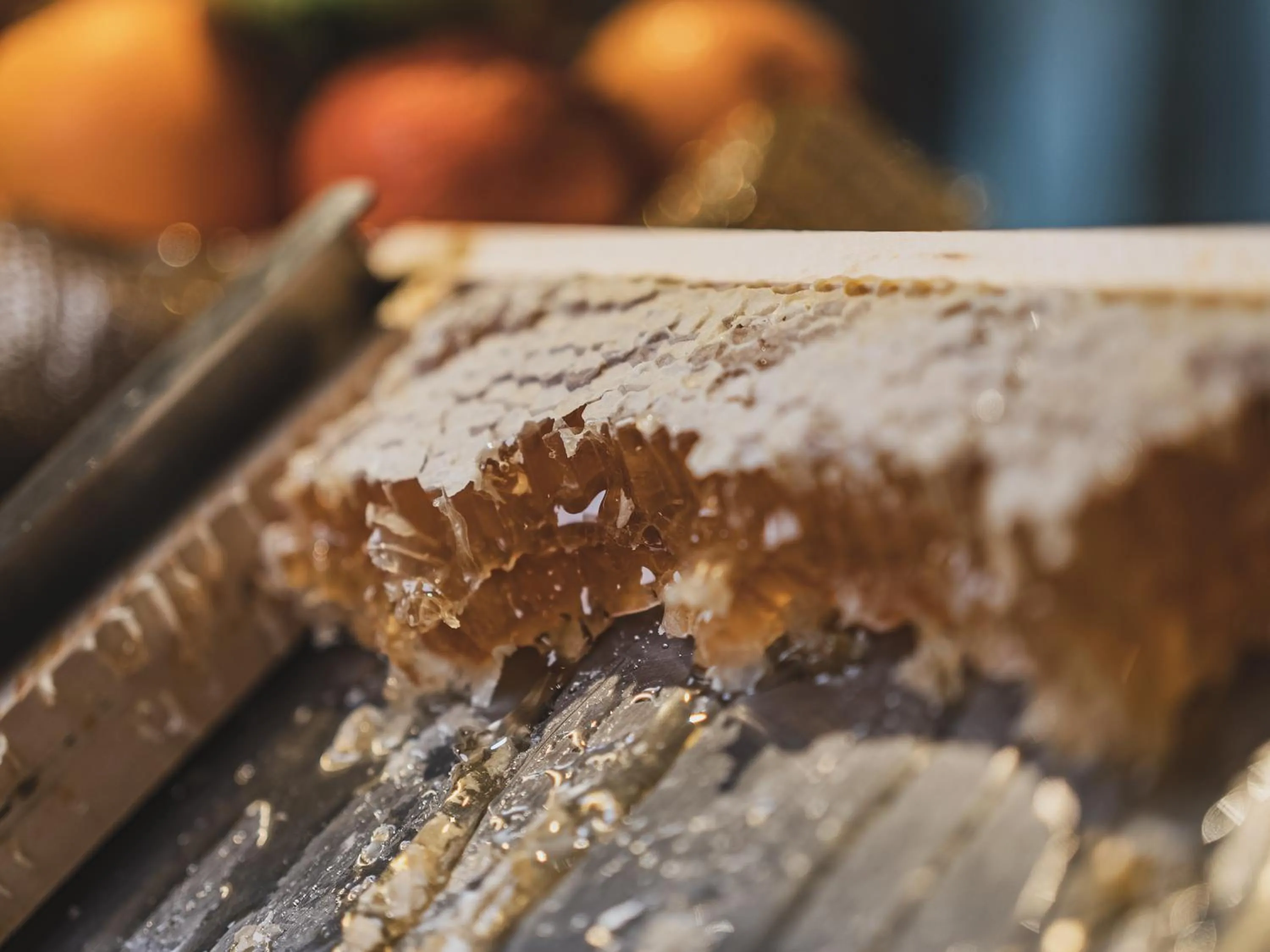 Breakfast in Hotel Crozzon