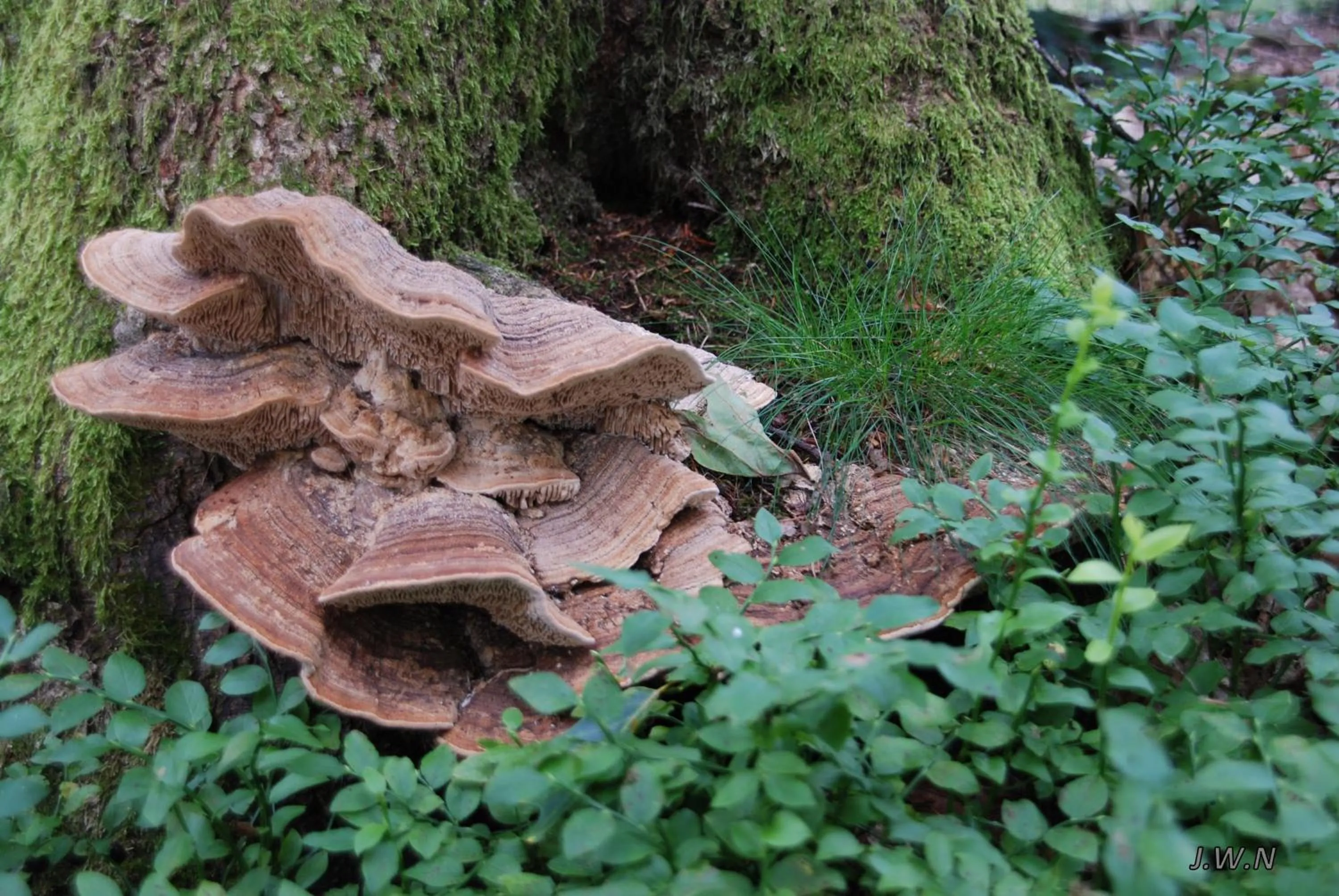 Nearby landmark in De Priesnitzhoeve