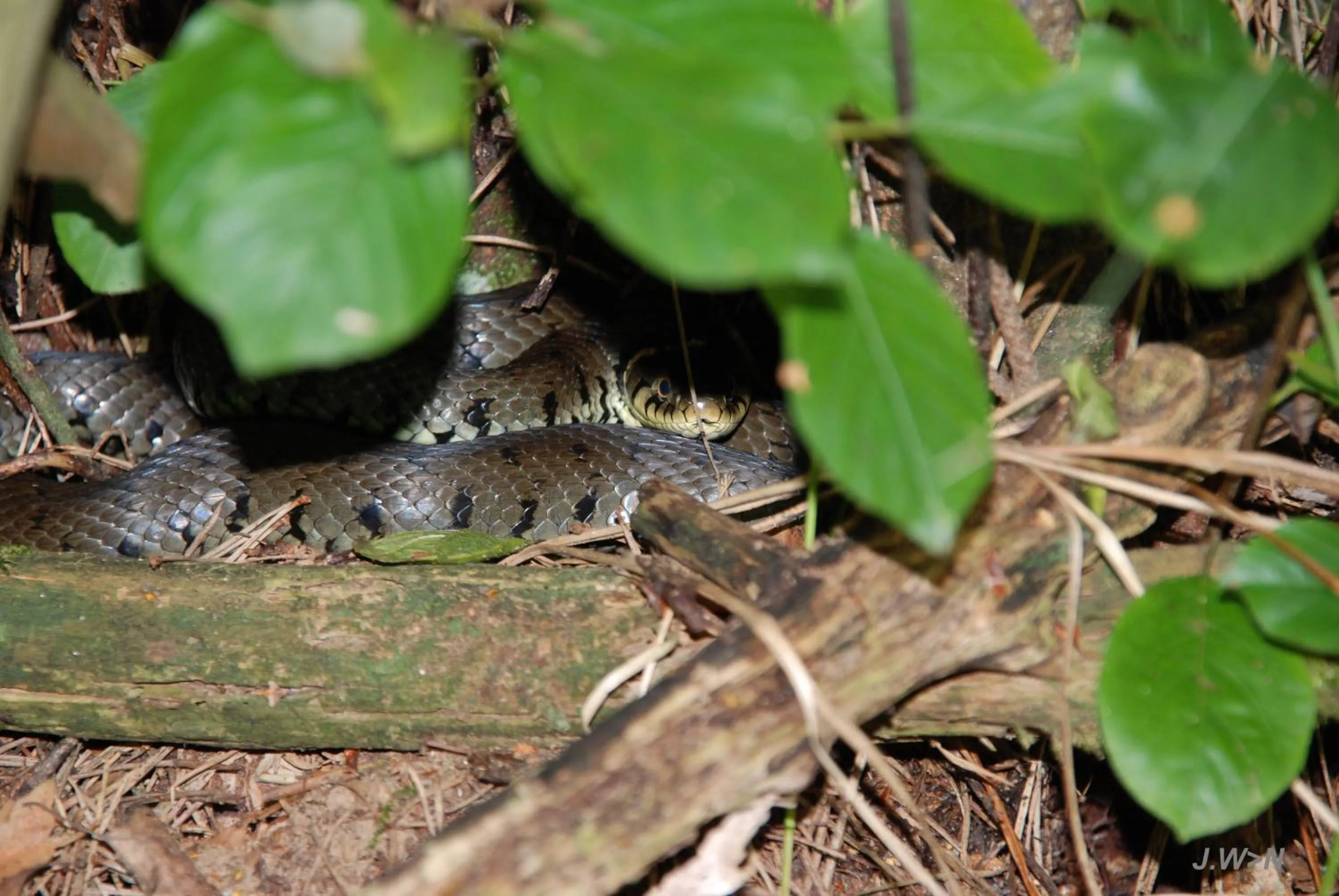 Nearby landmark in De Priesnitzhoeve