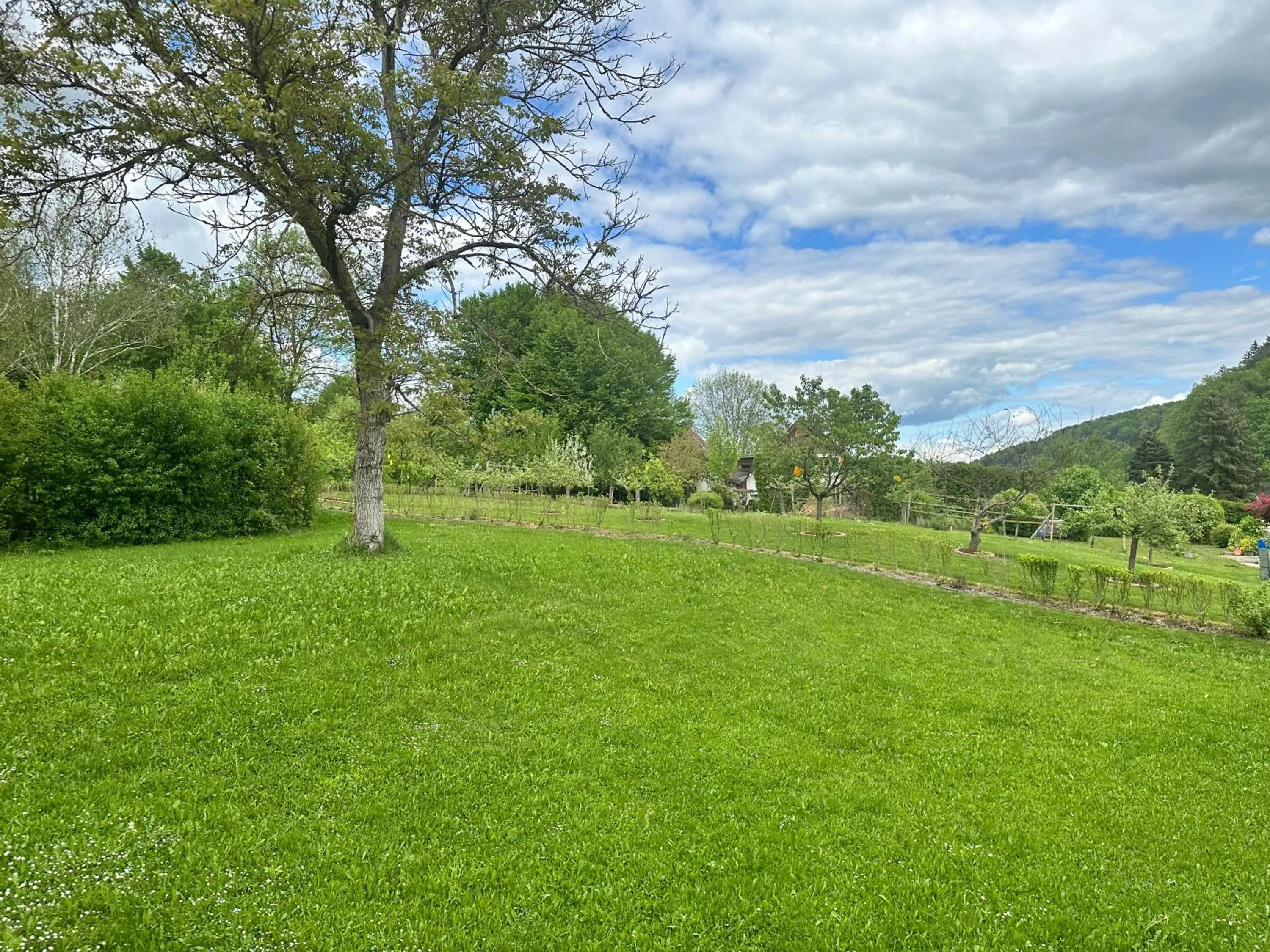 Garden view in Breitenfelderhof zur Riegersburg