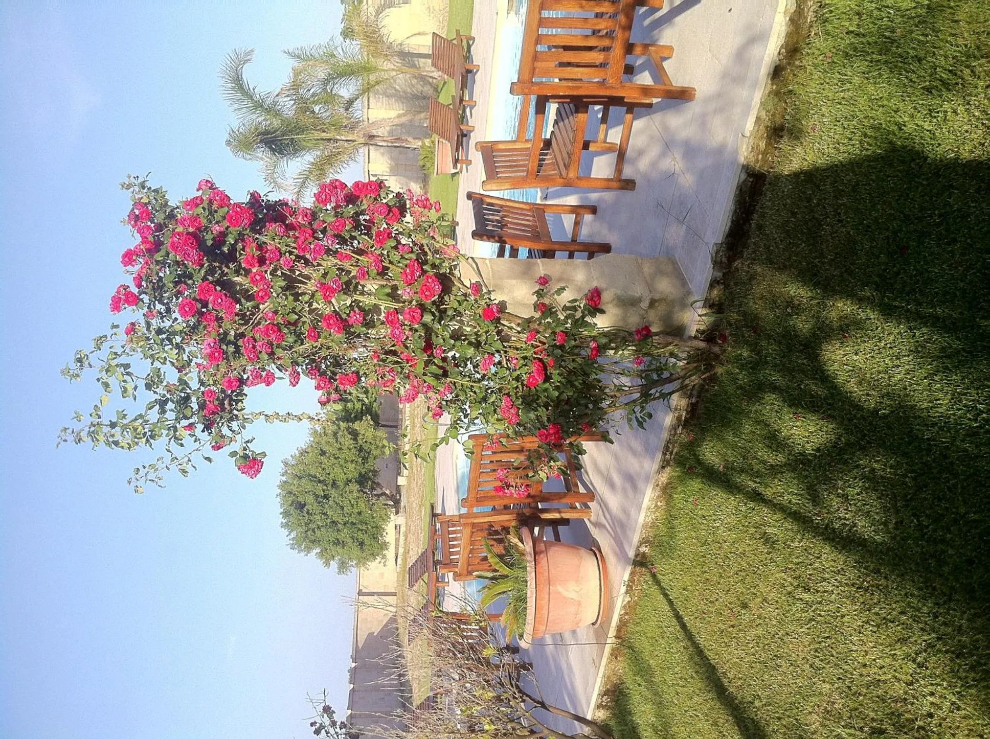 Swimming pool in Masseria Li Campi