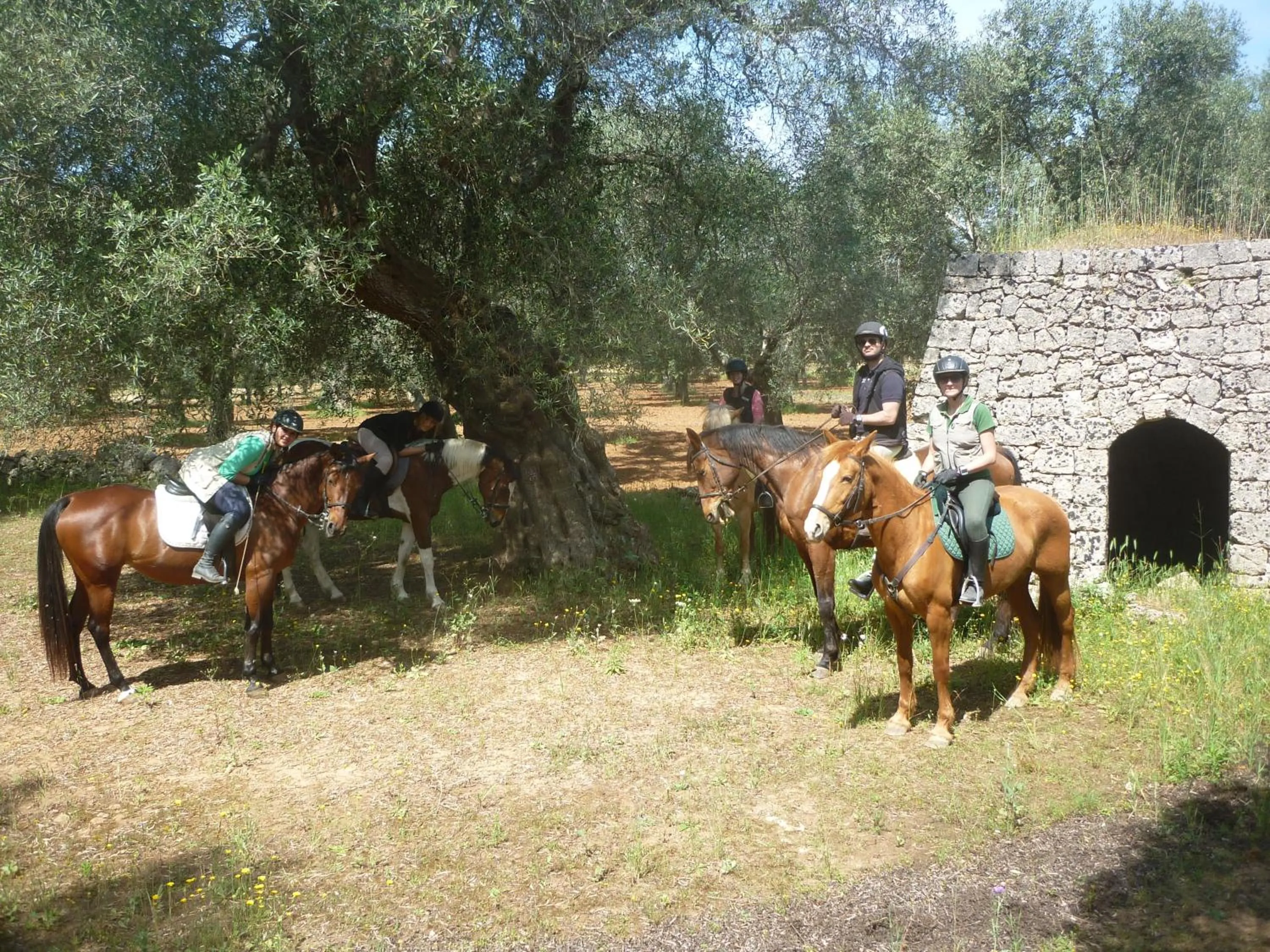 Horse-riding in Masseria Li Campi