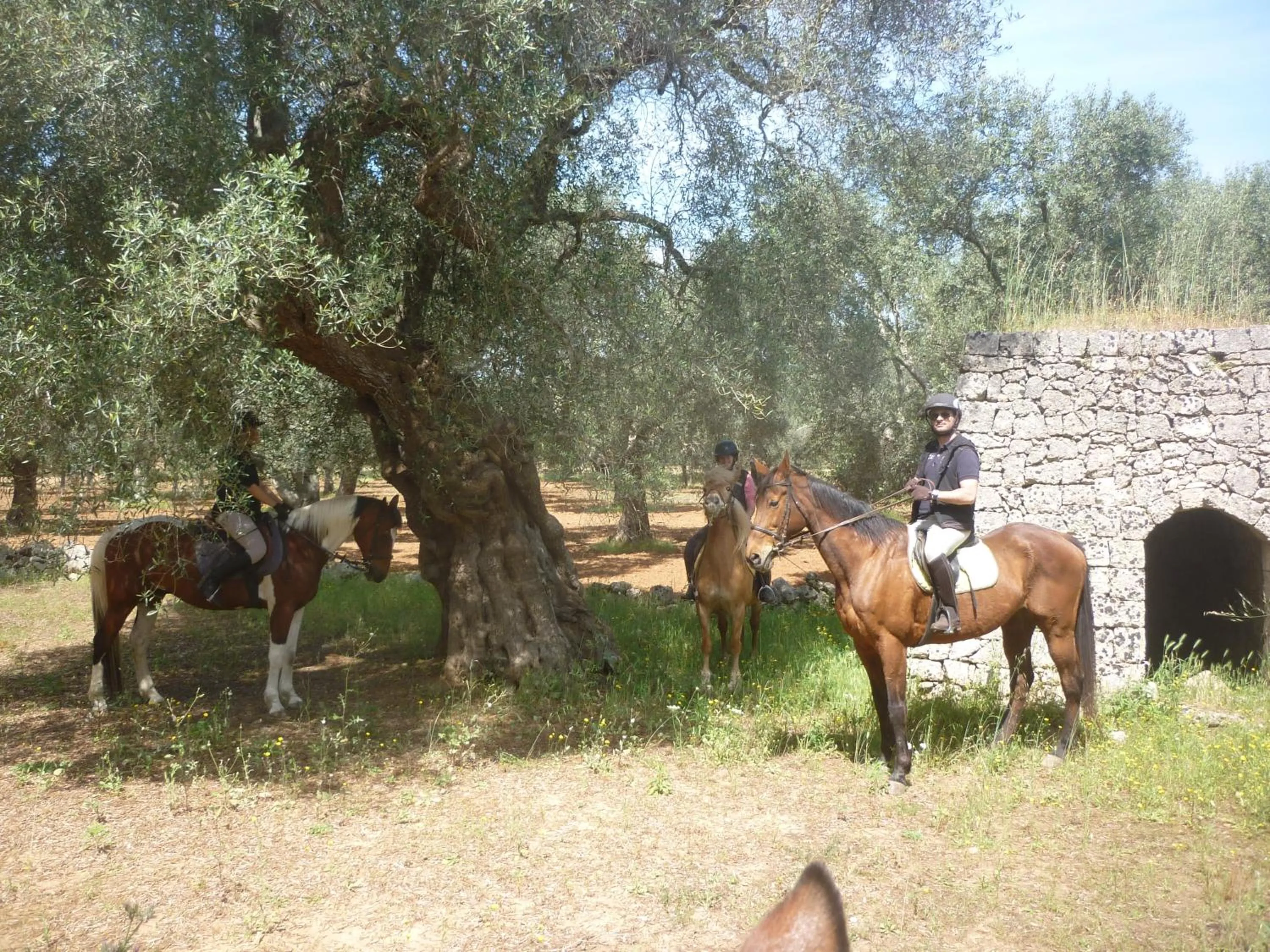 Horse-riding in Masseria Li Campi