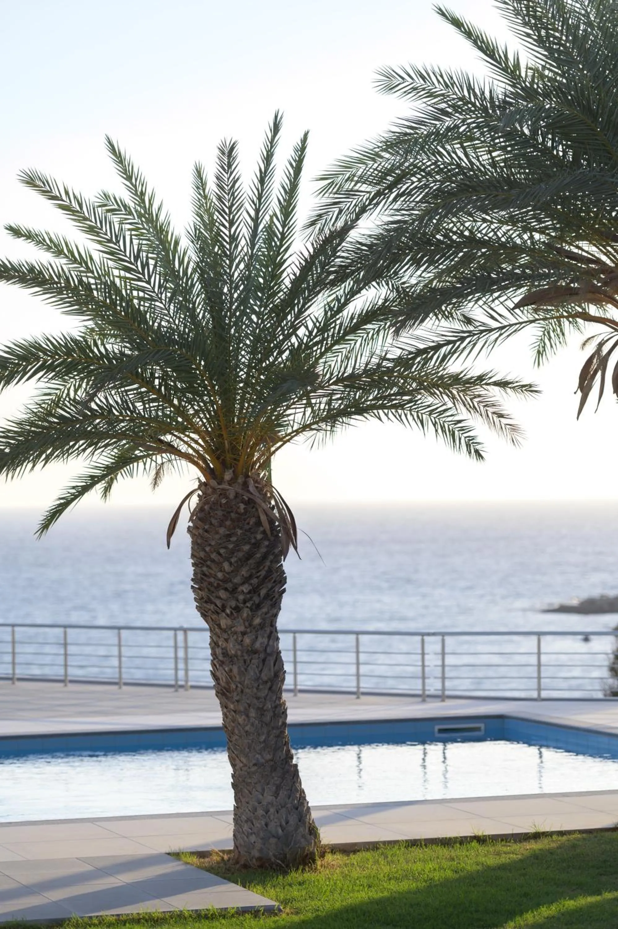 View (from property/room) in Porto Belissario