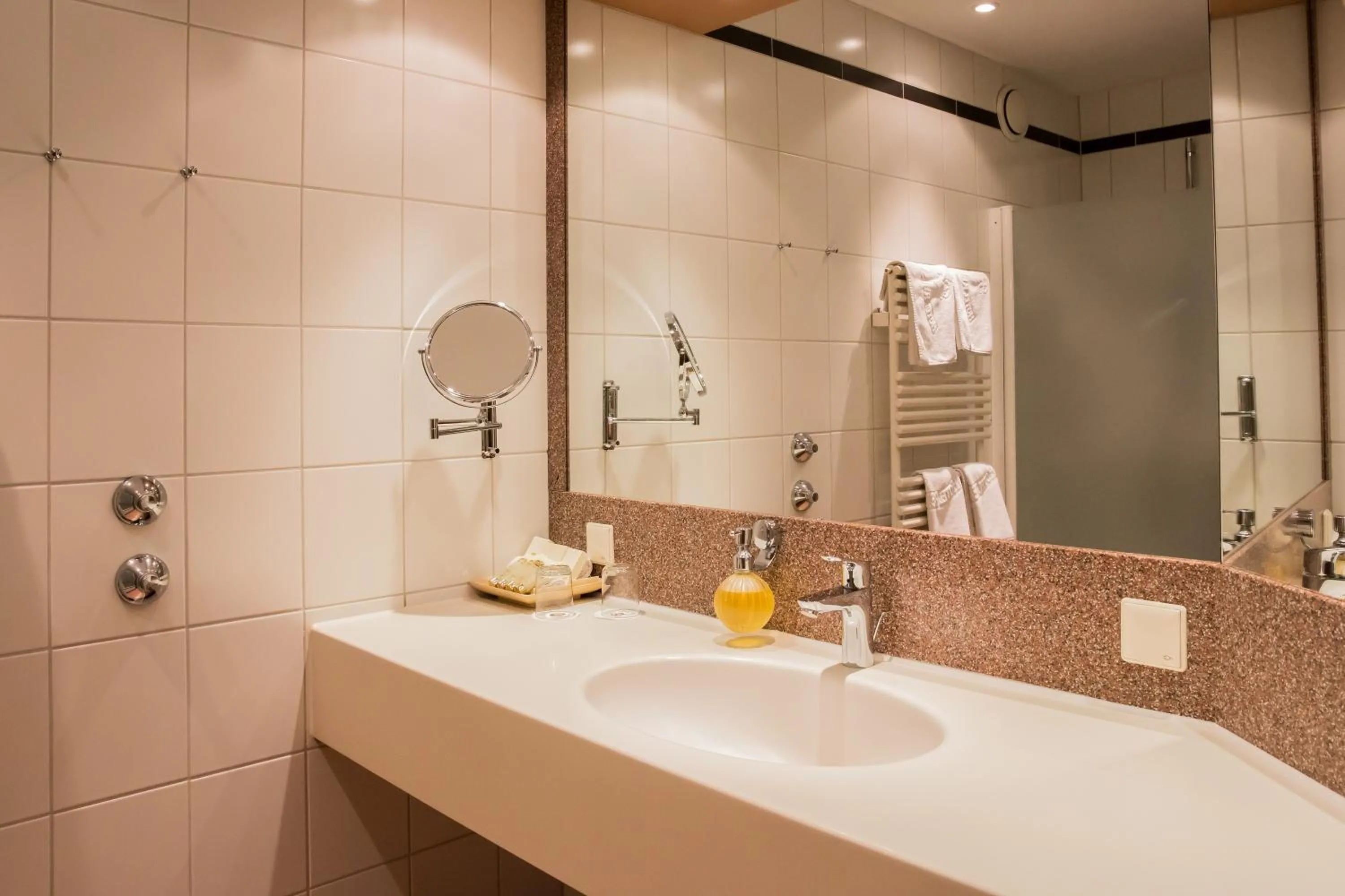 Other in Best Western Premier Hotel Rebstock