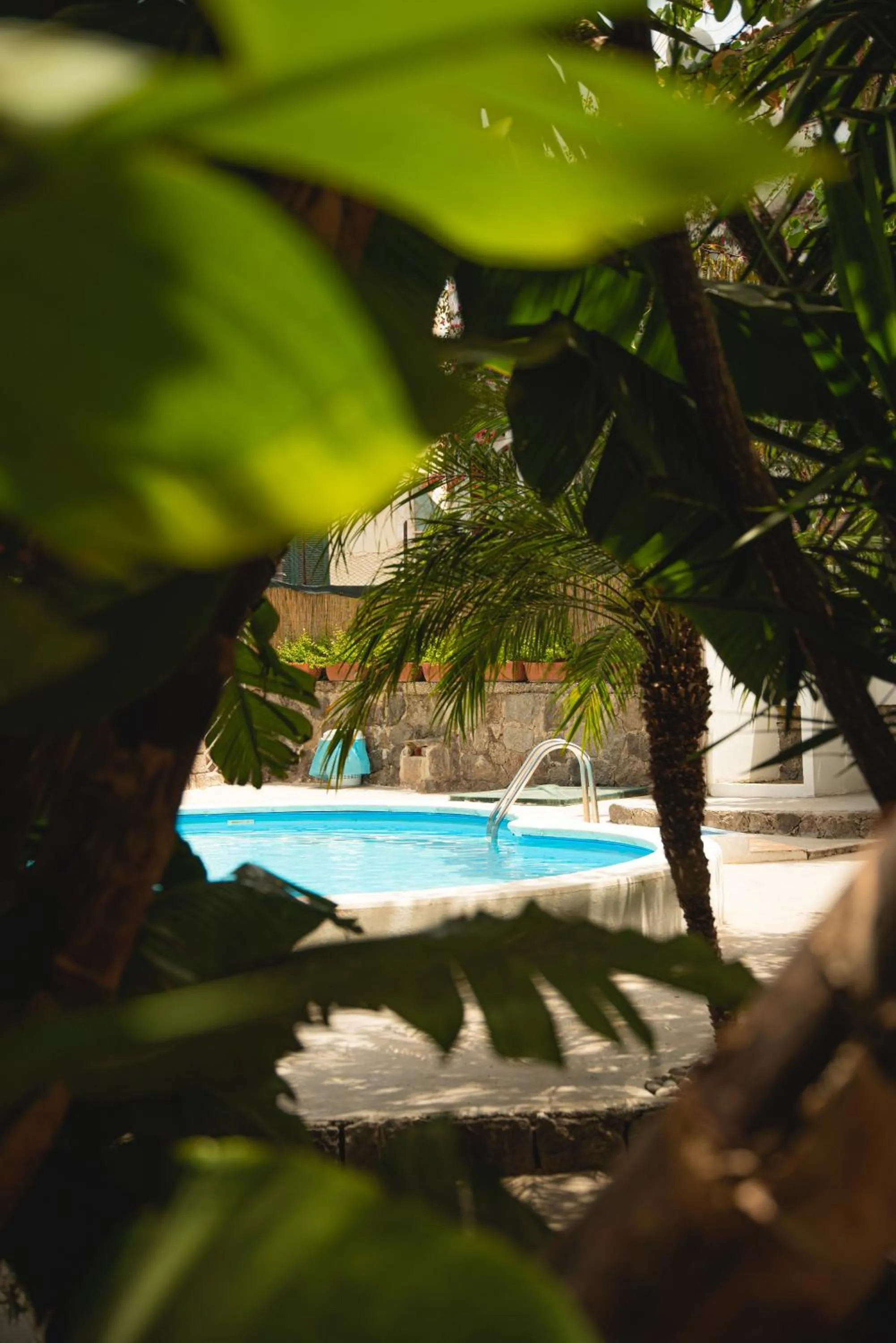 Garden in Albergo Italia - Beach Hotel