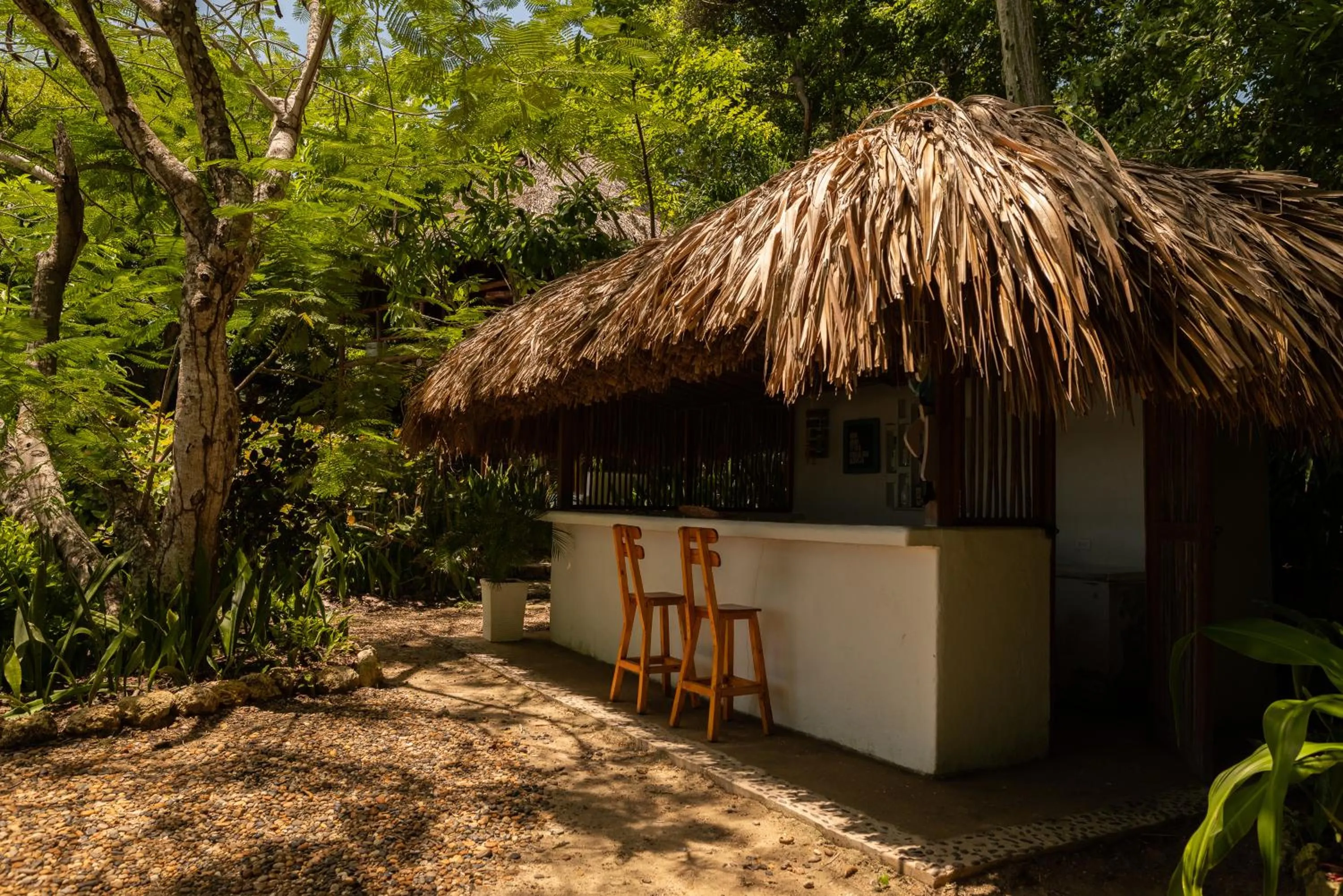Spring in Hotel Playa Scondida Barú