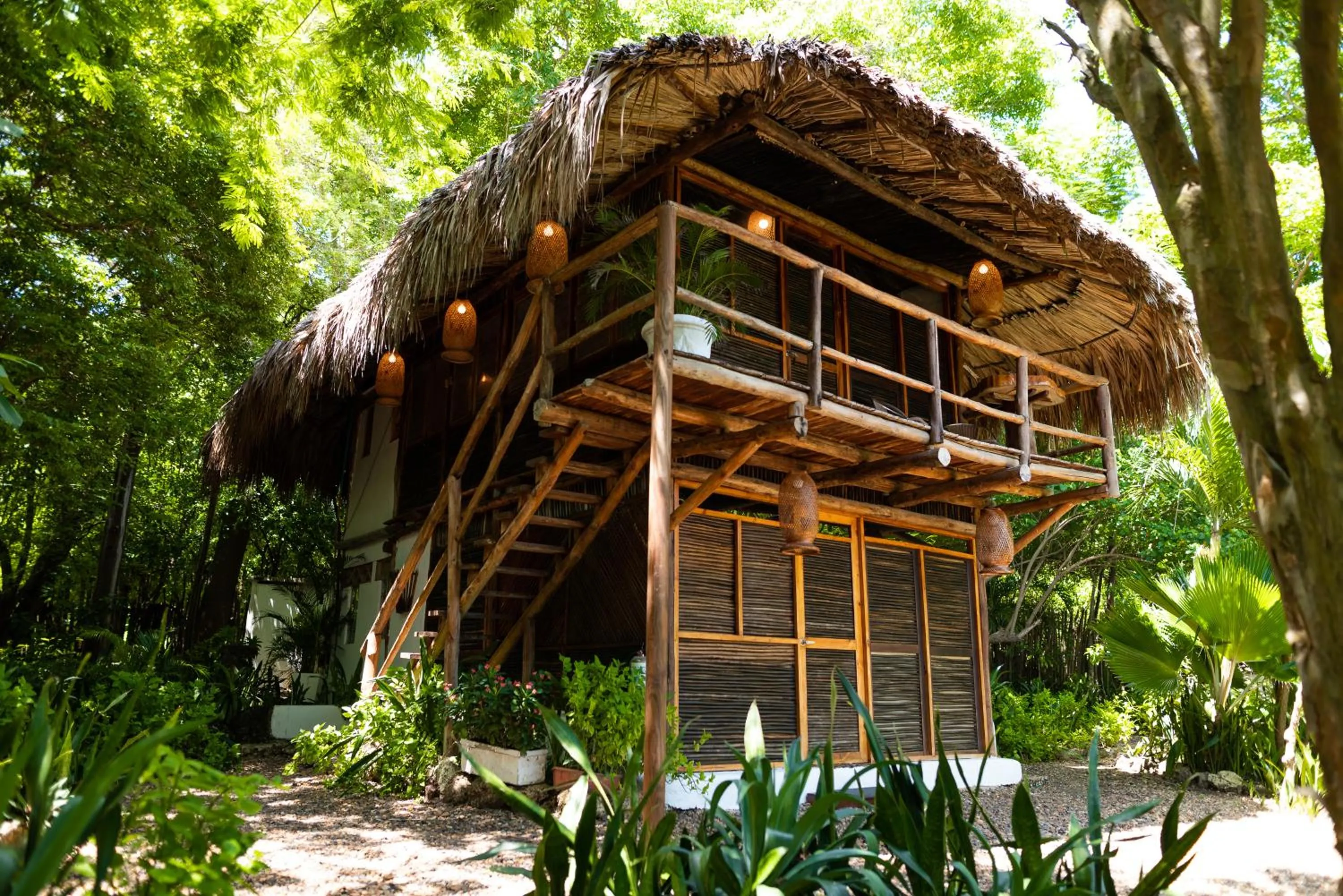 Natural landscape in Hotel Playa Scondida Barú