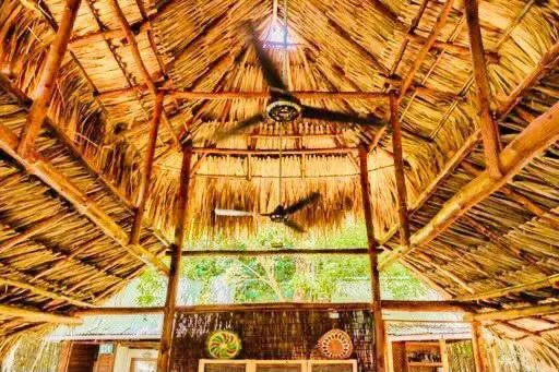 Day in Hotel Playa Scondida Barú