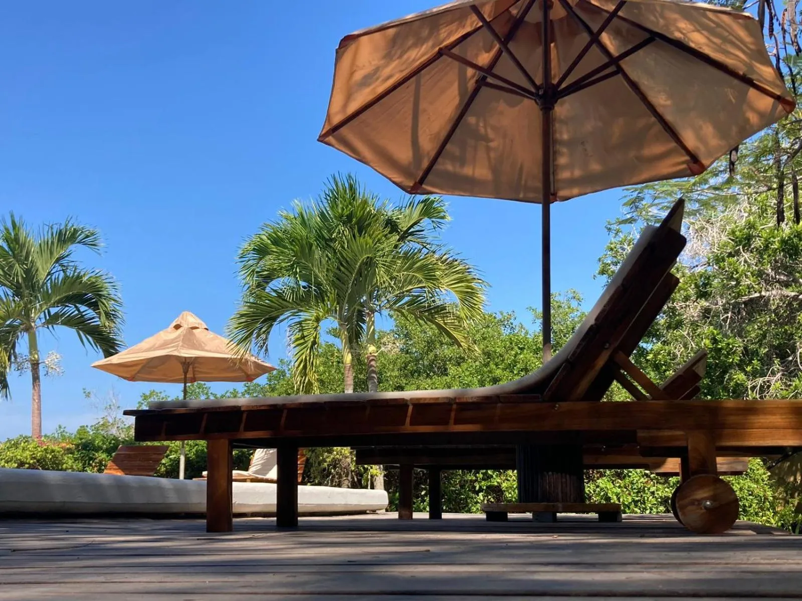 Garden in Hotel Playa Scondida Barú