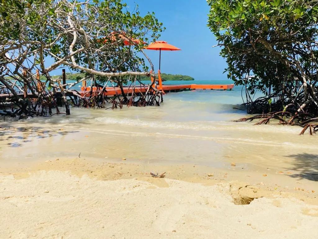 Natural landscape in Hotel Playa Scondida Barú