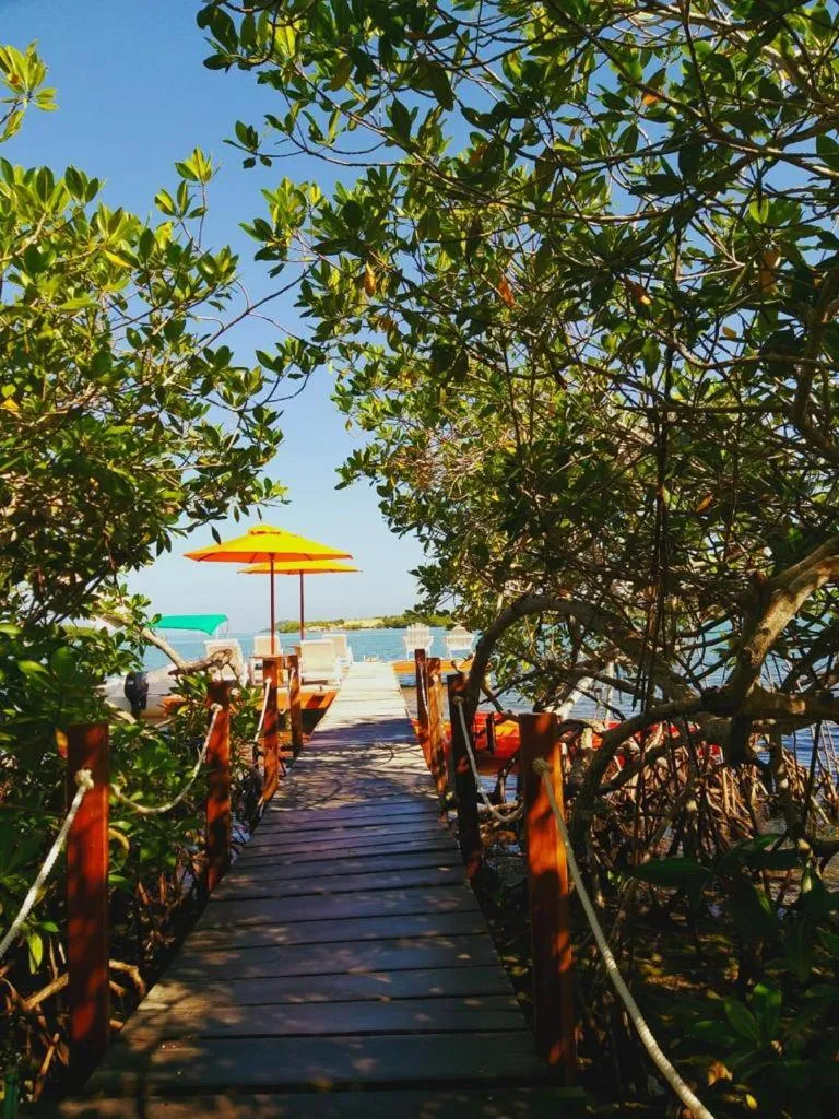 Natural landscape in Hotel Playa Scondida Barú