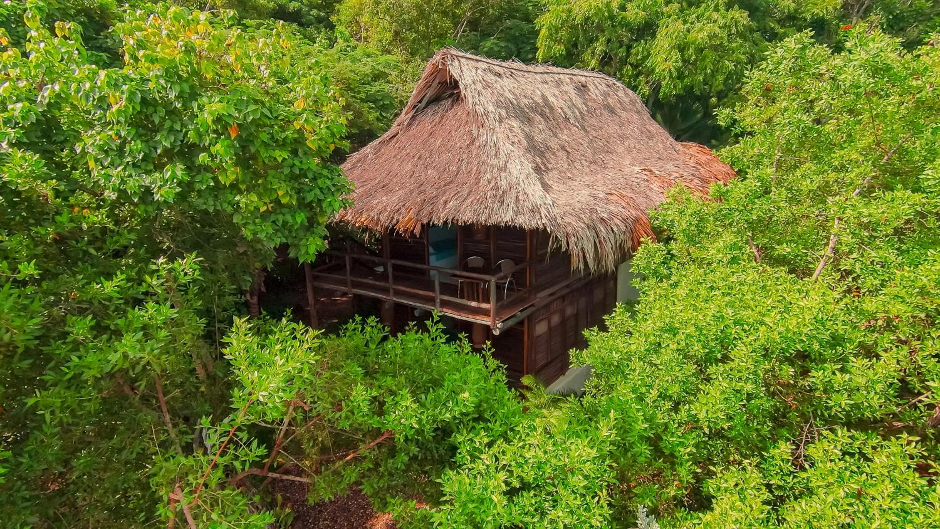 Day in Hotel Playa Scondida Barú