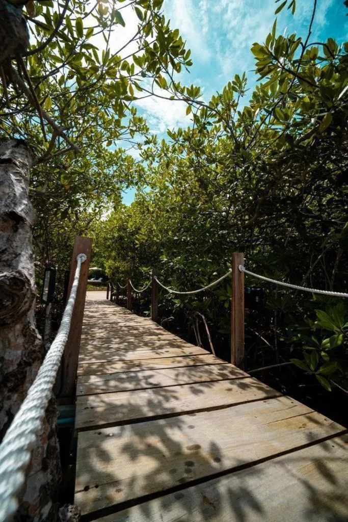 Day in Hotel Playa Scondida Barú