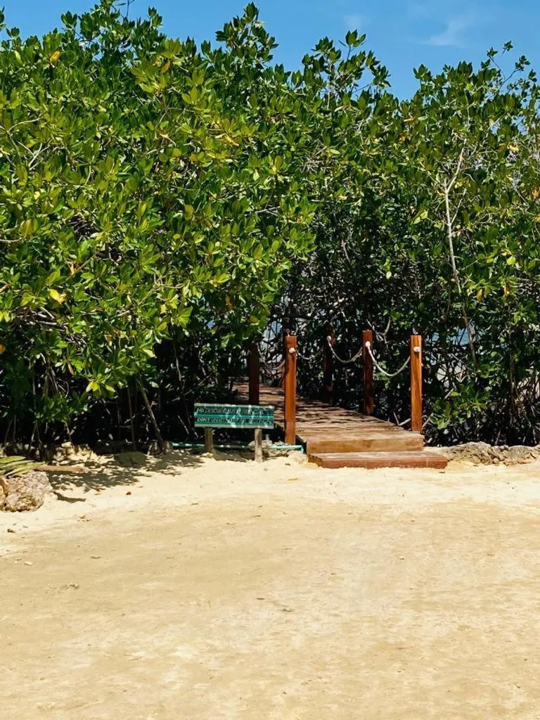 Natural landscape in Hotel Playa Scondida Barú