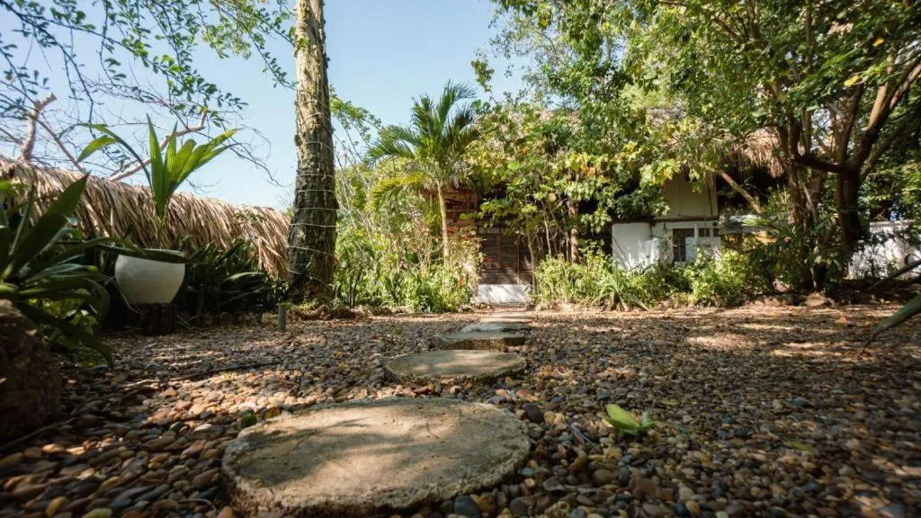 Natural landscape in Hotel Playa Scondida Barú