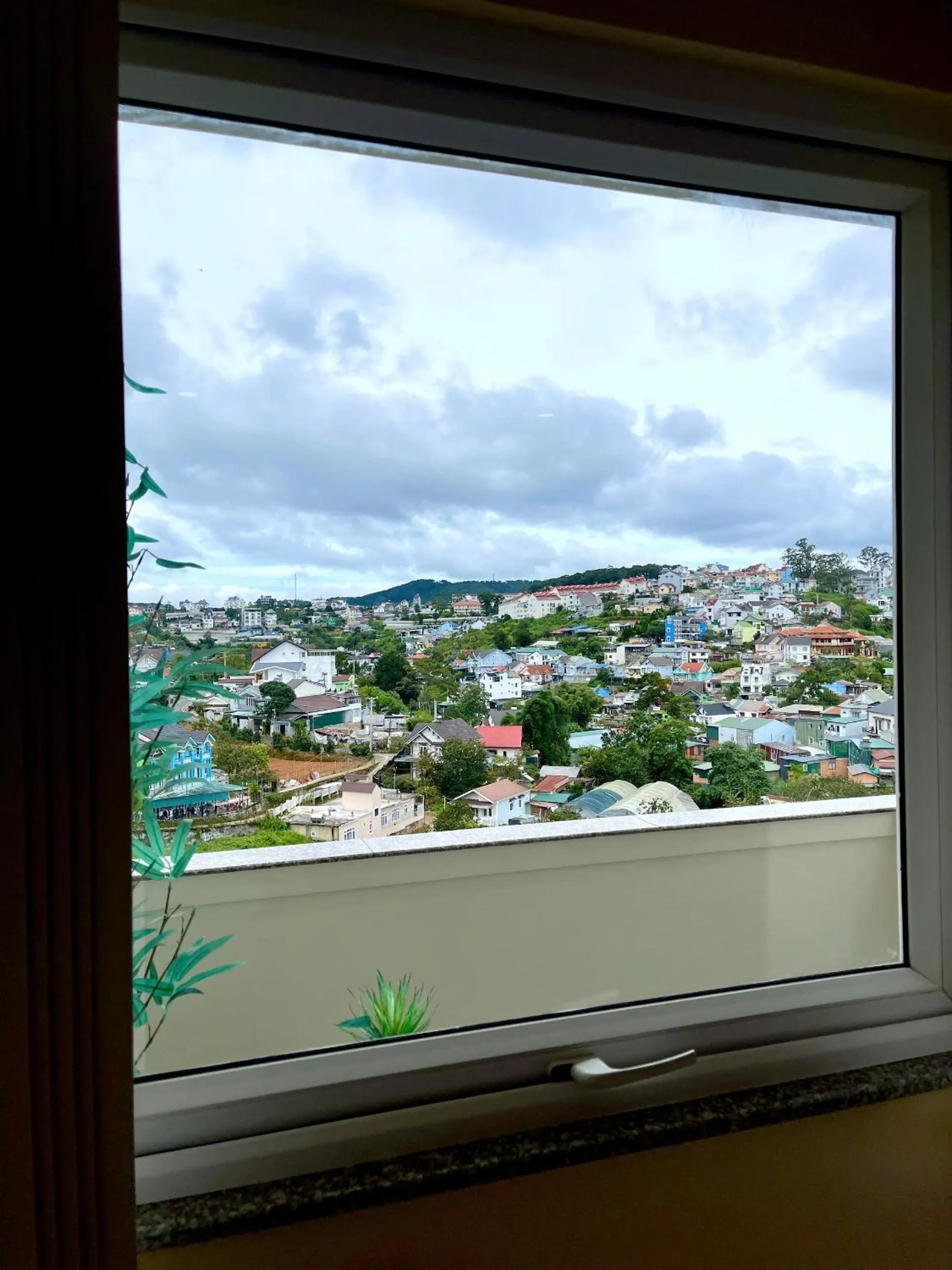 Hoa Ngoc Lan - The Orchid Villa Dalat