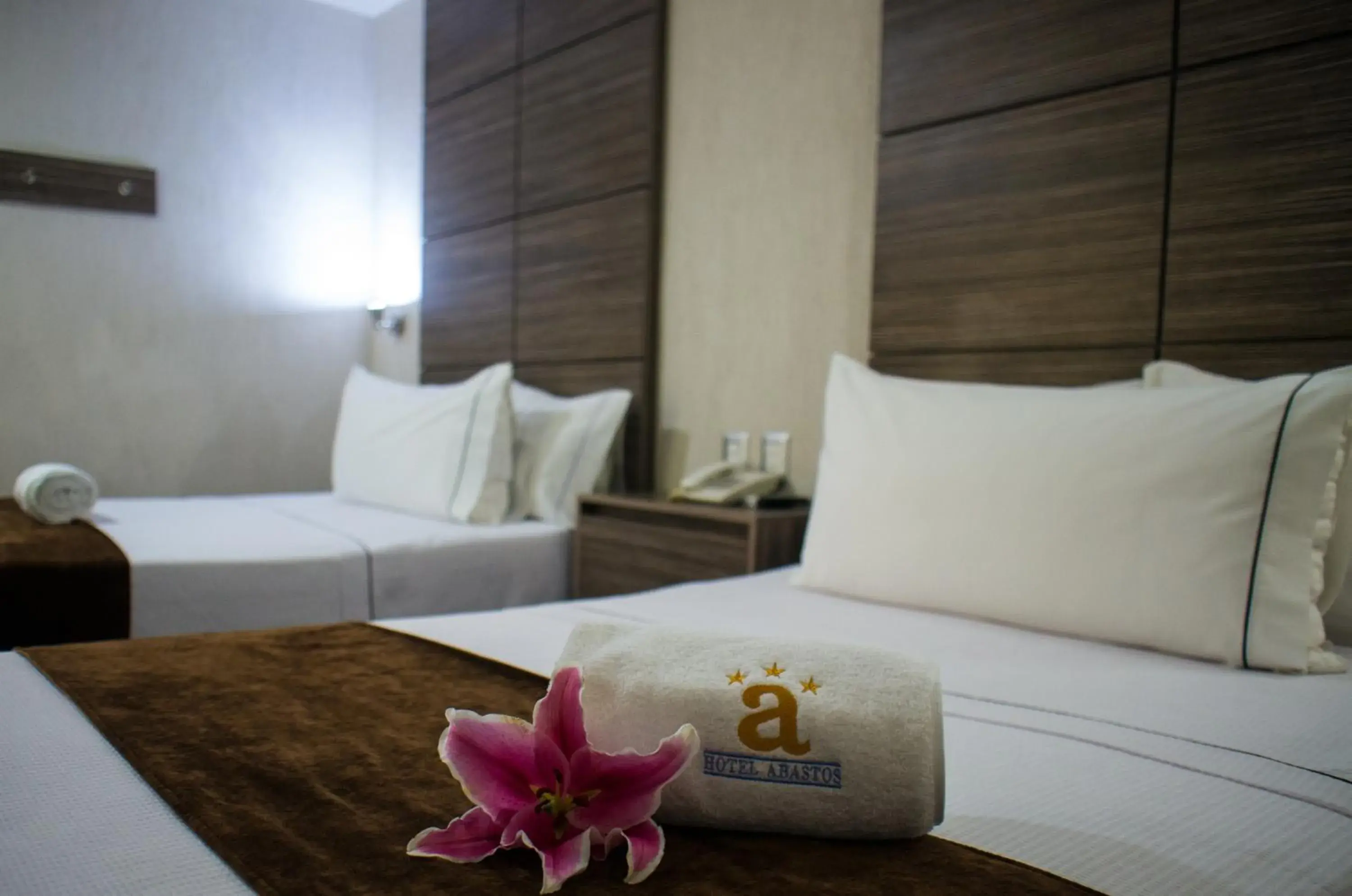 Double Room in Hotel Expo Abastos Double Room in Hotel Expo Abastos