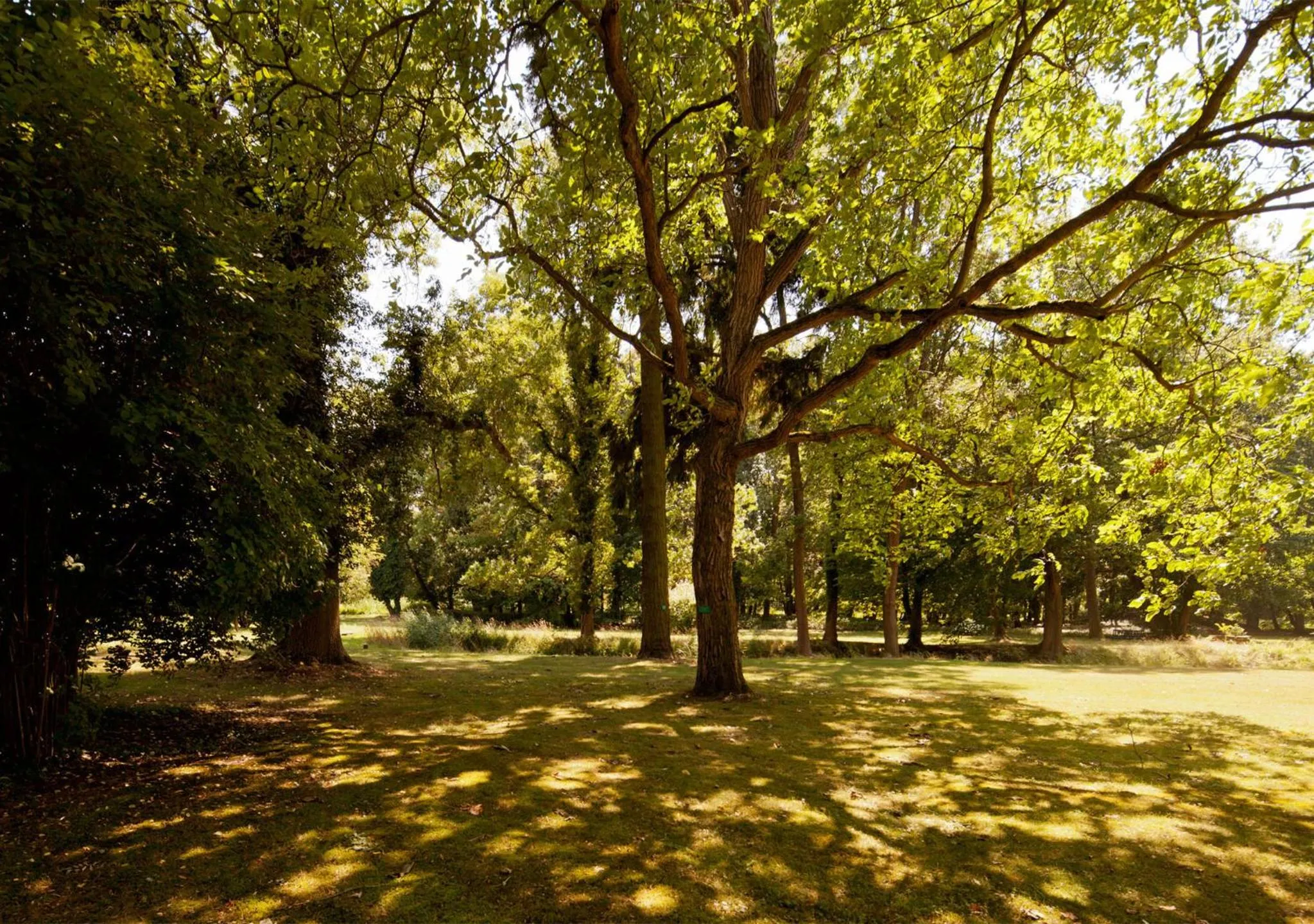 Area and facilities in Schlosshotel Ziethen