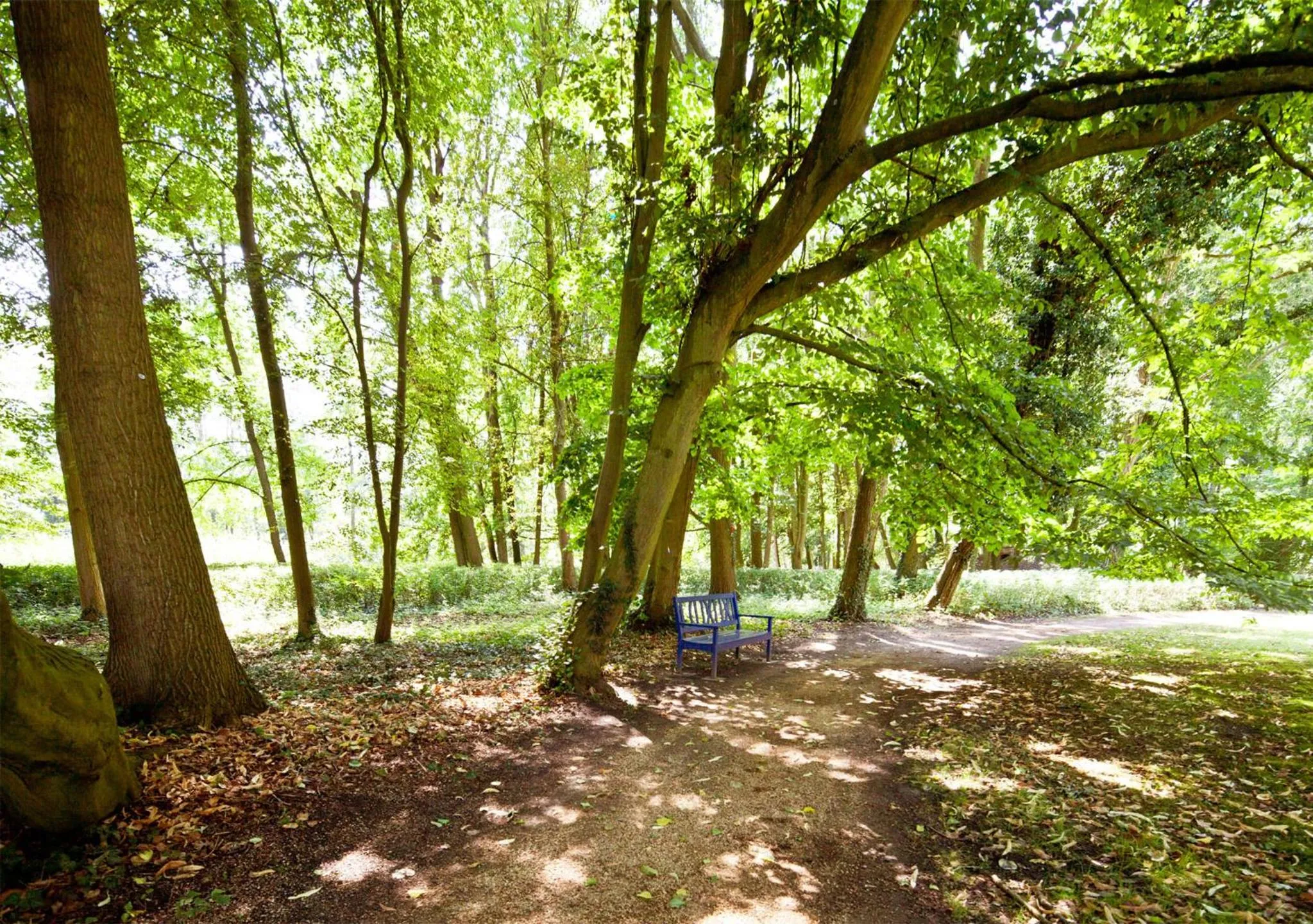 Garden in Schlosshotel Ziethen