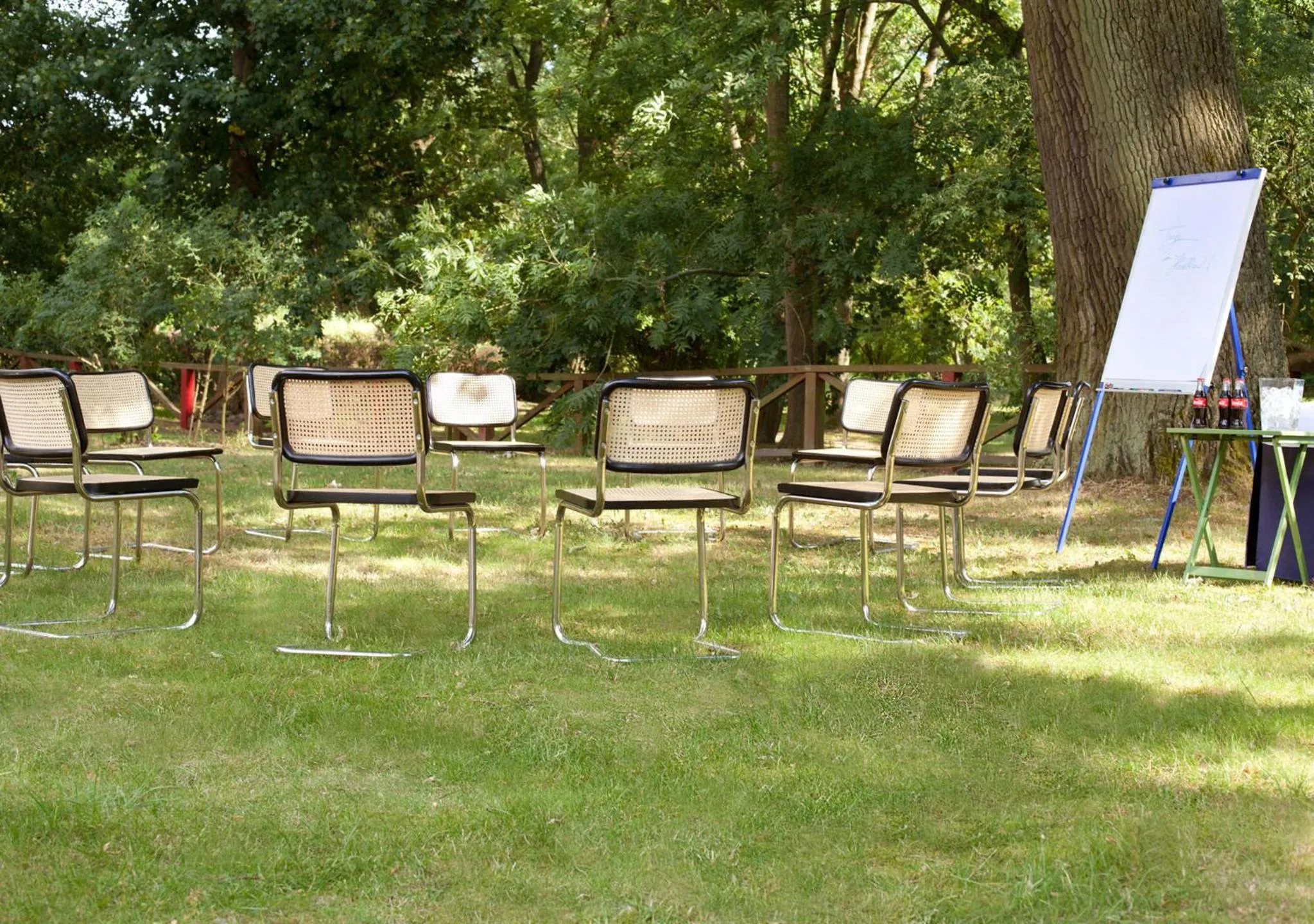 Area and facilities in Schlosshotel Ziethen