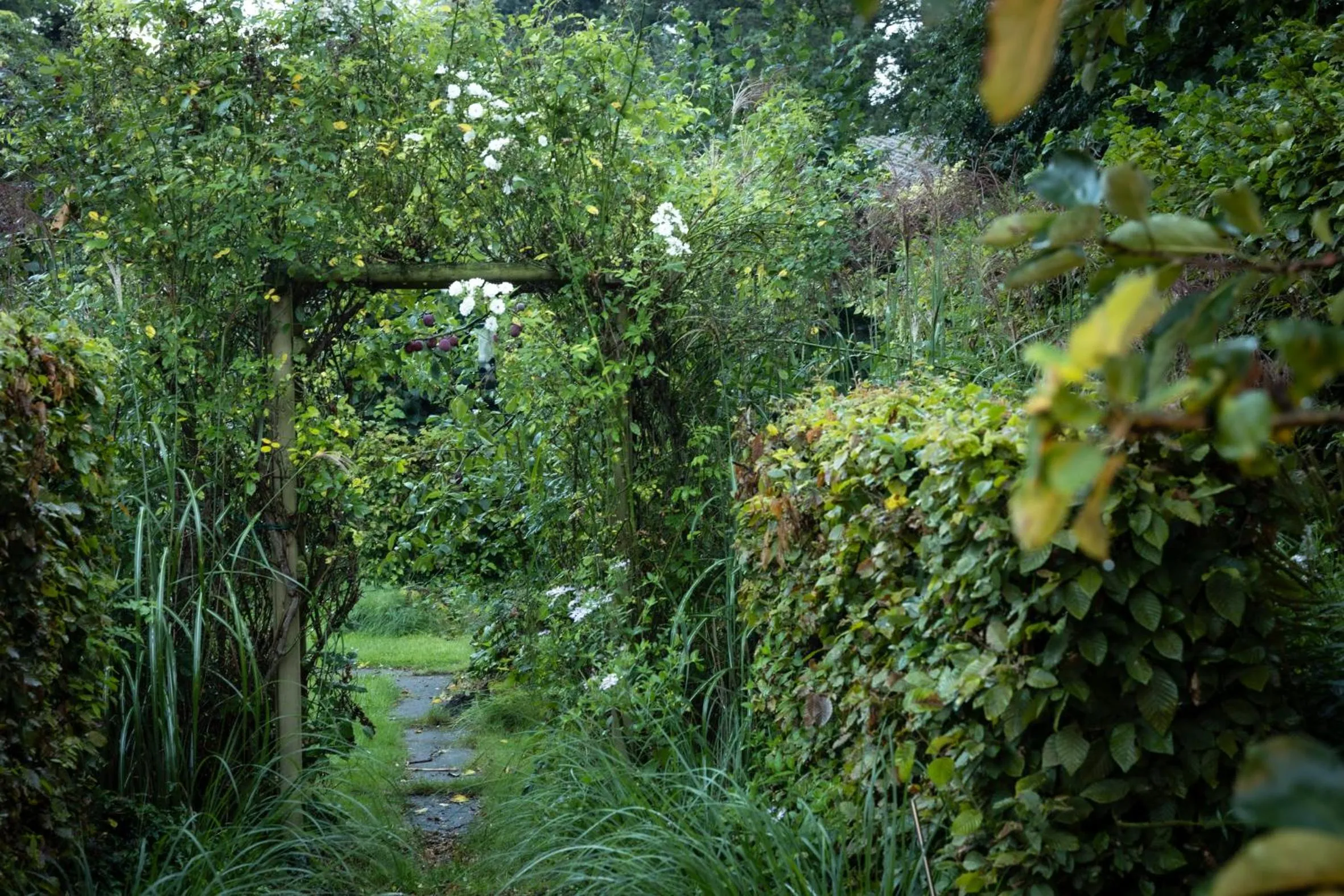 Garden in B&B Destiny