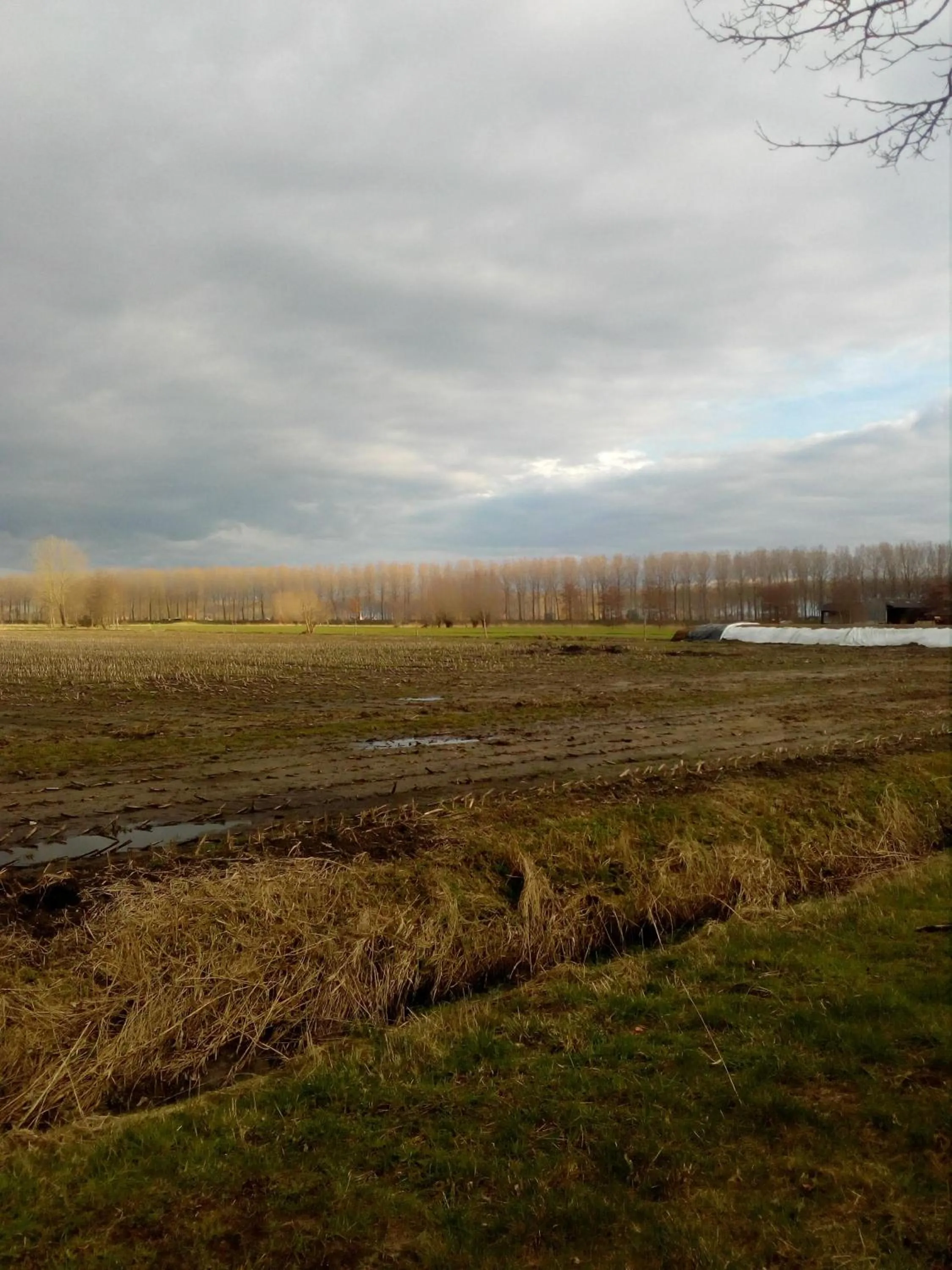 Natural landscape in B&B Destiny