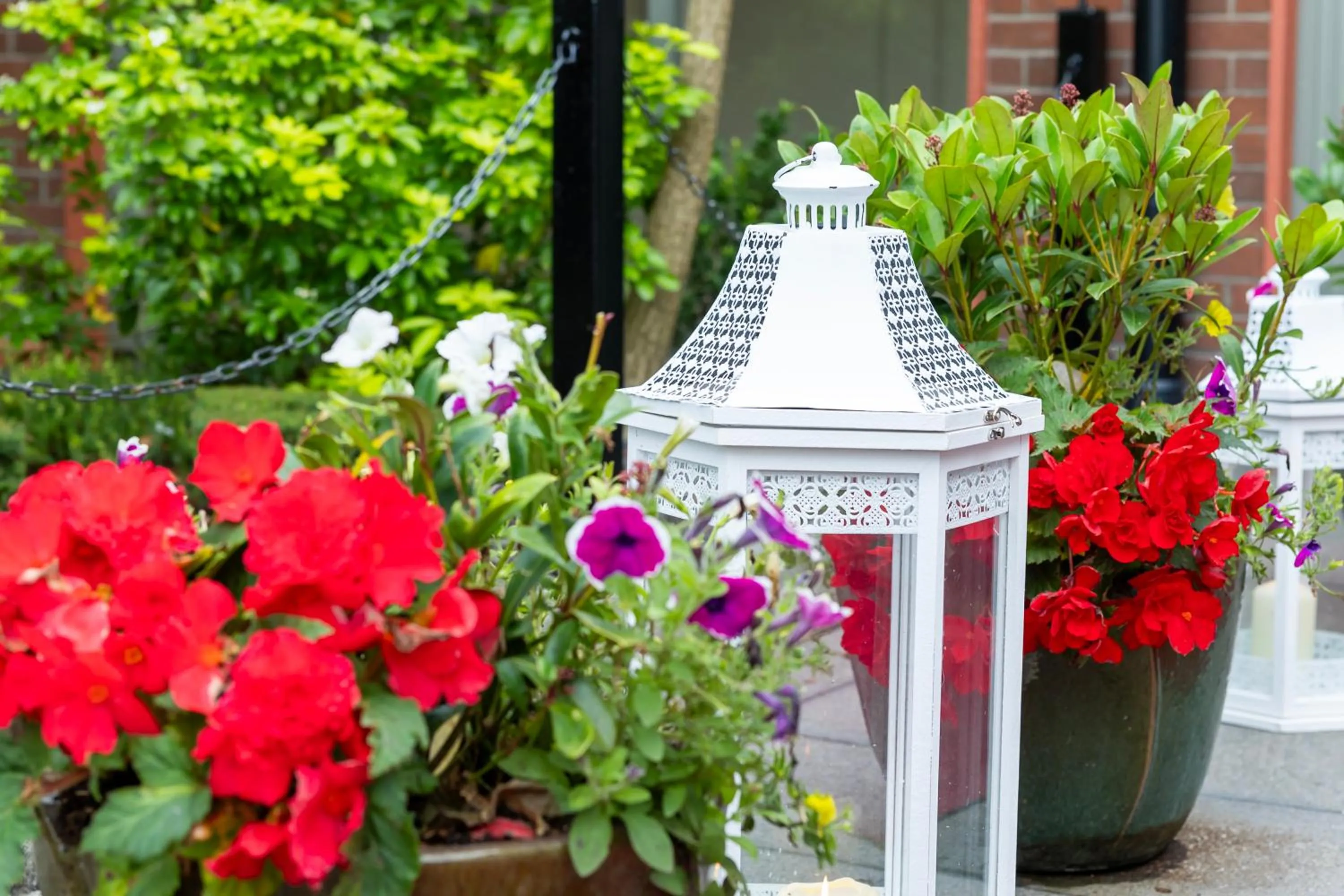 Garden in The Glenside