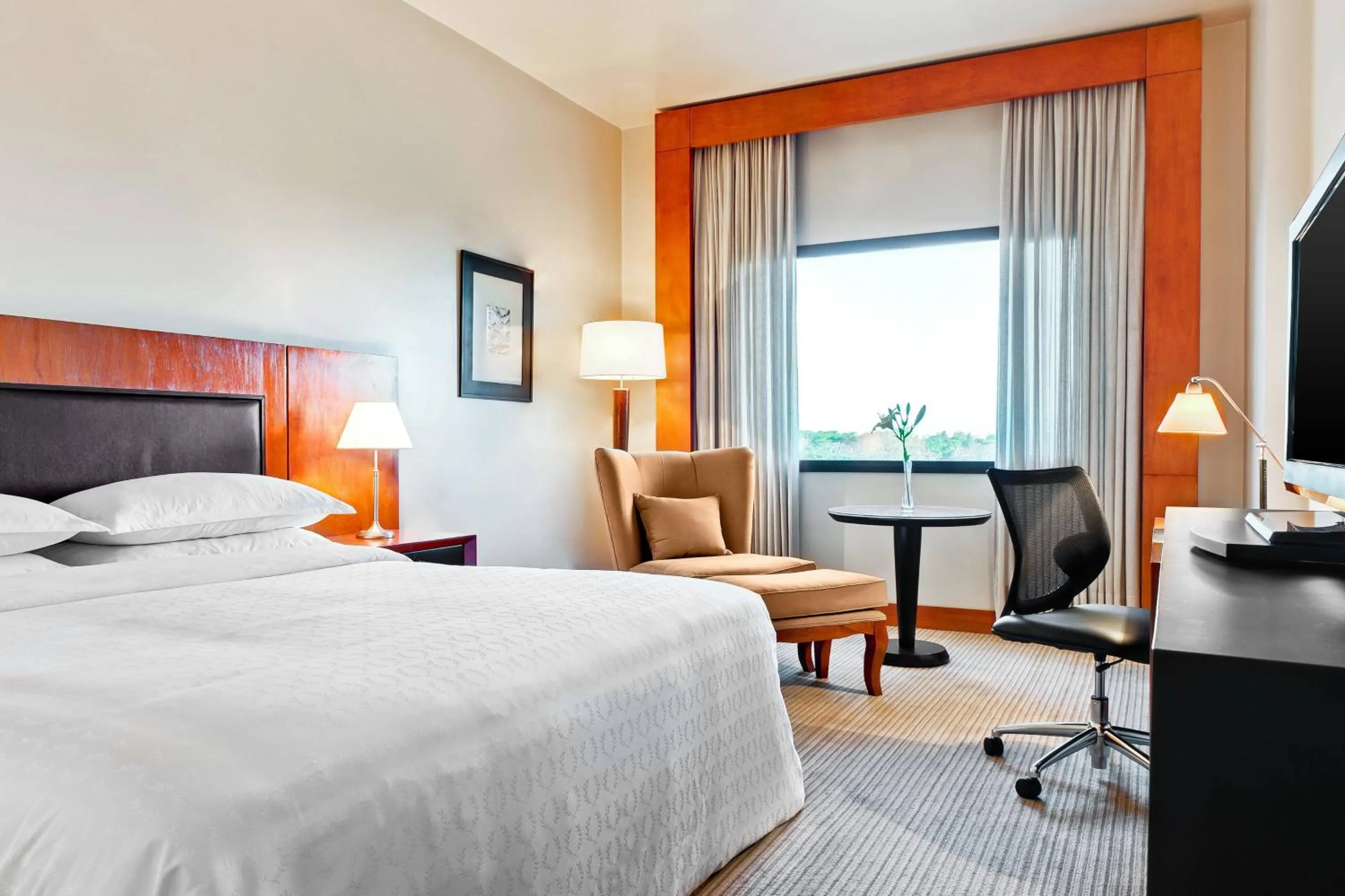 Photo of the whole room, Bed in Sheraton Asuncion Hotel