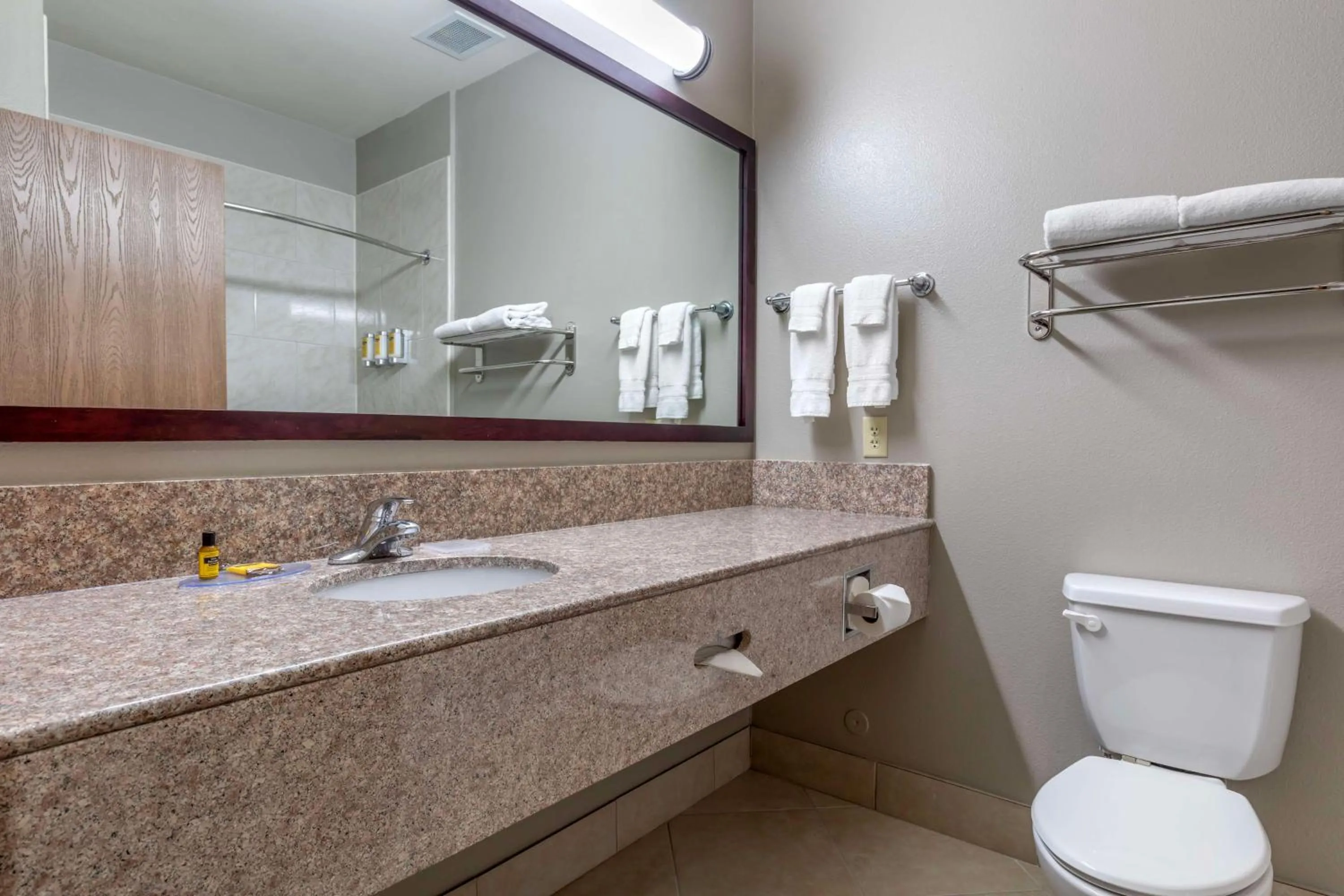 Bathroom in Best Western Plus Mansfield Inn & Suites