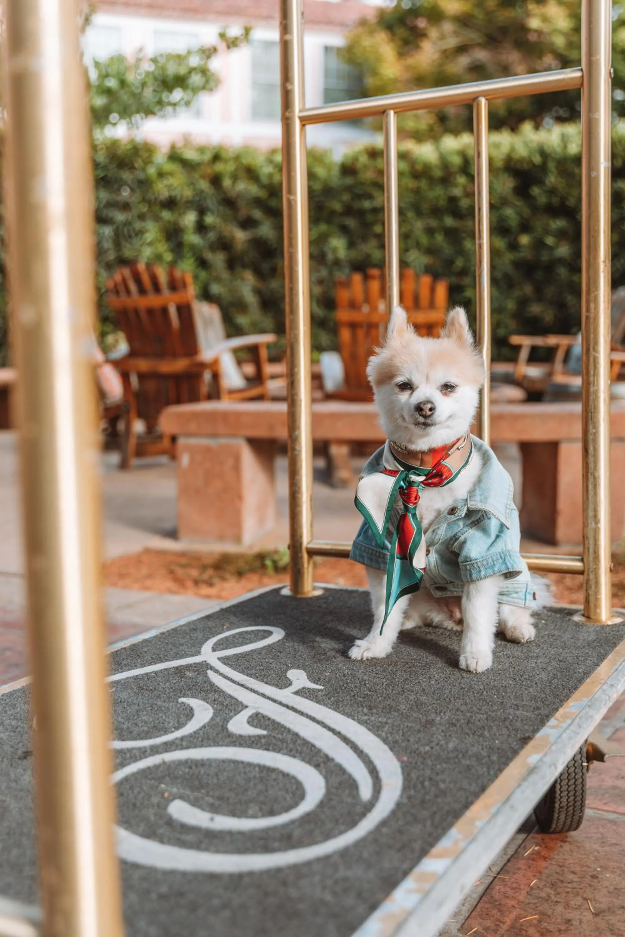 Pets in Fairmont Sonoma Mission Inn & Spa