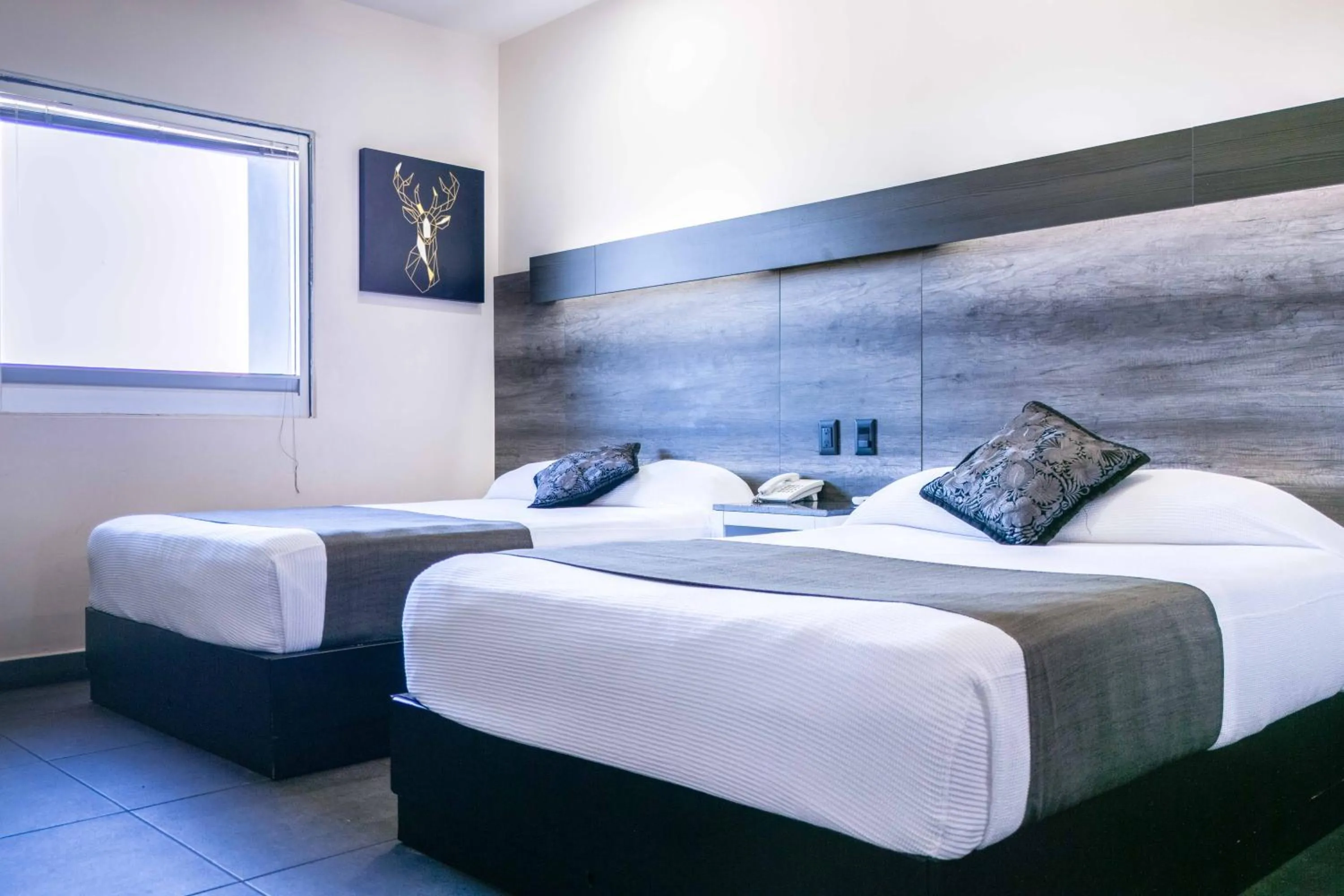 Photo of the whole room, Bed in Homesuites Malecon