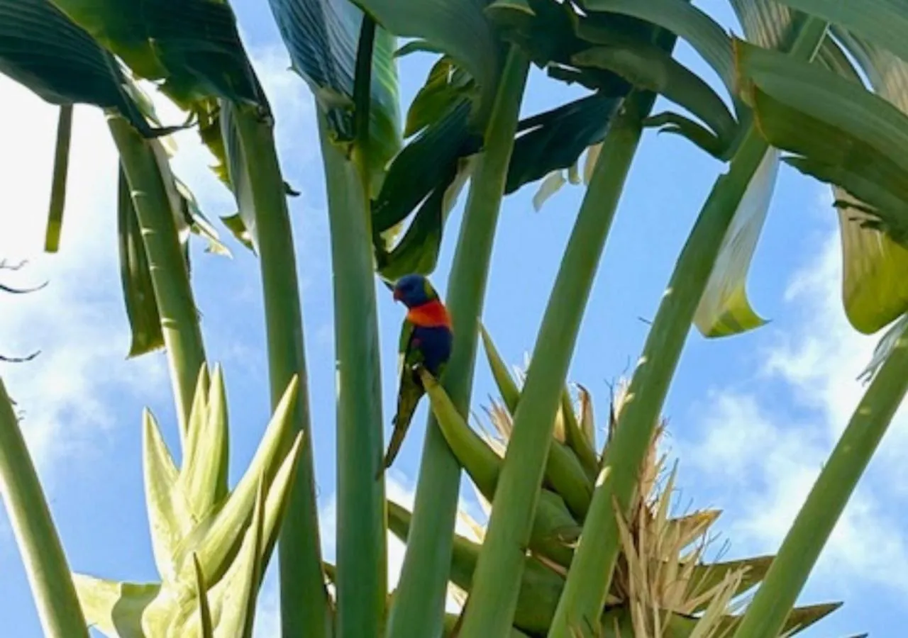 Natural landscape in Toscana Village Resort