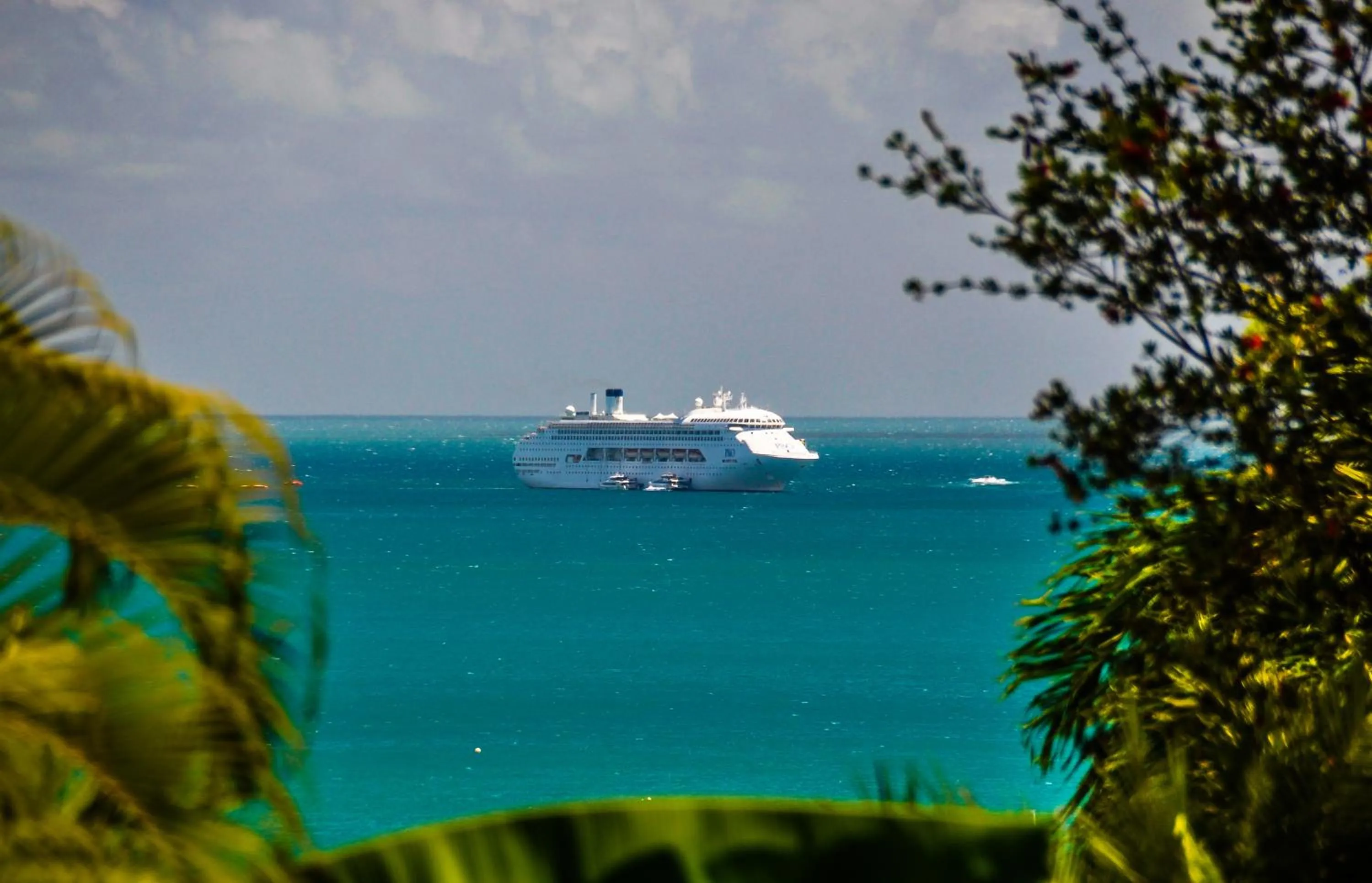 View (from property/room) in Toscana Village Resort