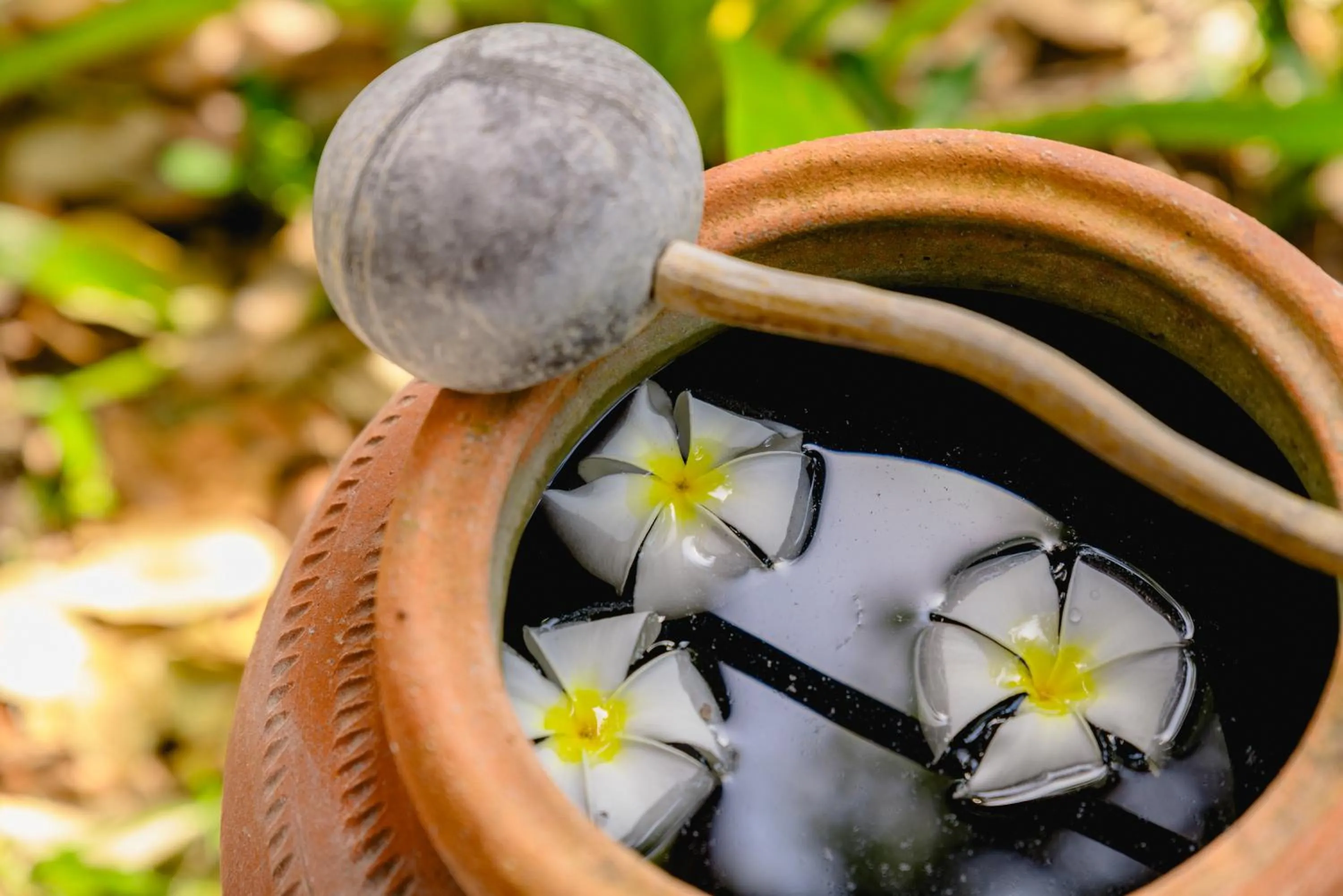 Garden view in Sand Sea Resort Railay Beach