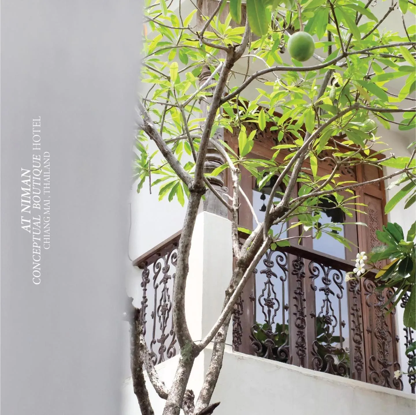 Day in At Niman conceptual Home chiangmai