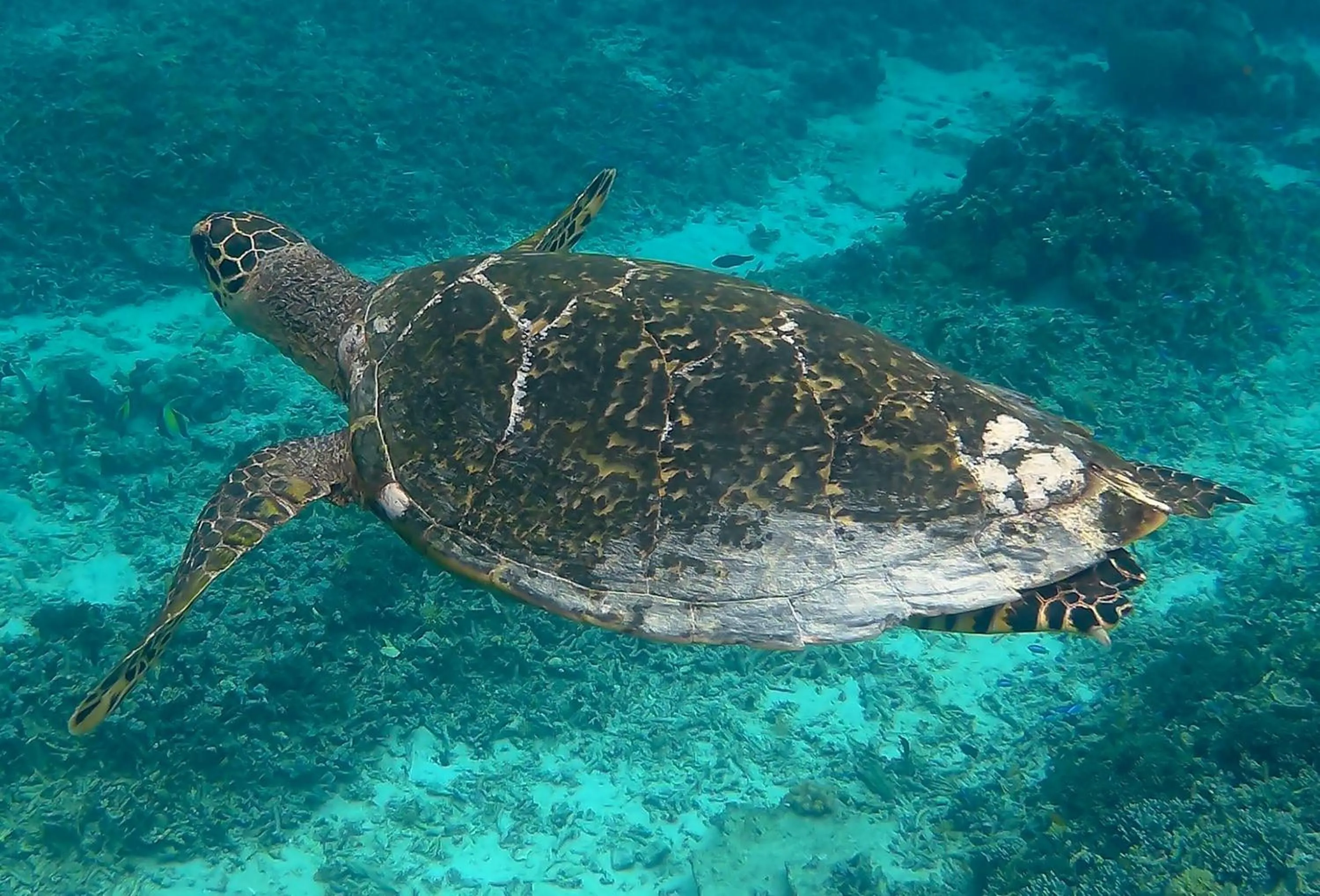 Activities in Meno Madia Bungalows